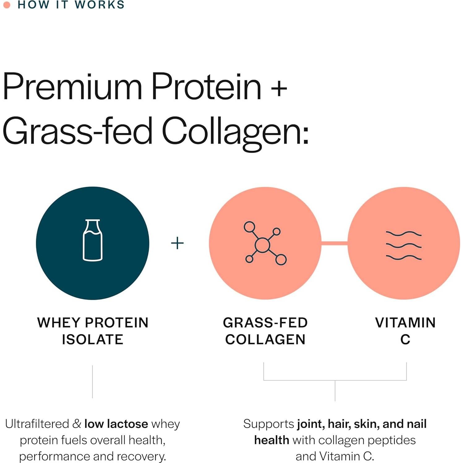 Gainful Colágeno en Polvo 311g - Proteína de Suero Sin Sabor