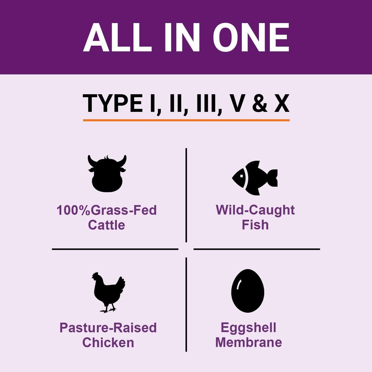 Zammex Polvo de Colágeno Hidrolizado 60 Porciones 10g