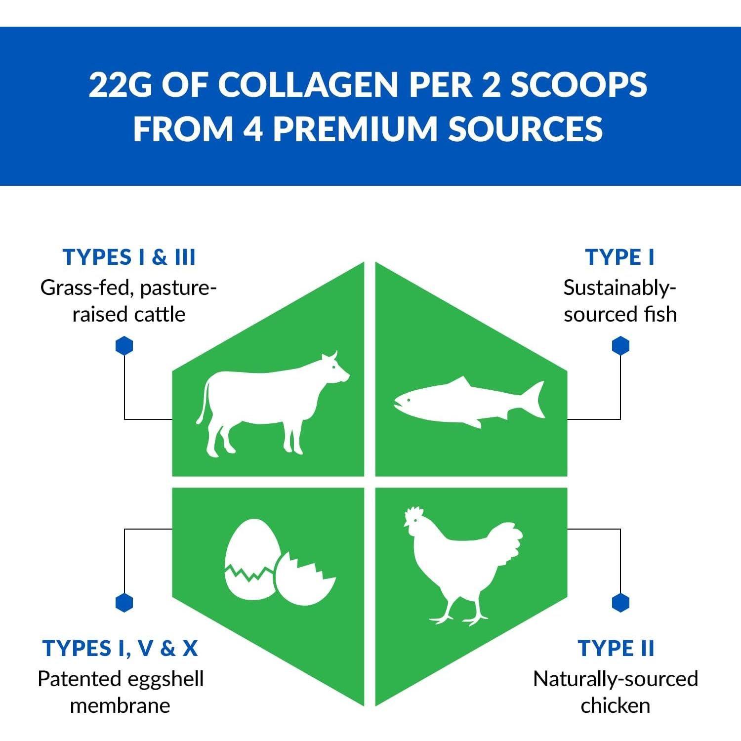 Polvo de Colágeno BioTrust Ageless Multi - 5 Tipos - 20 Porciones