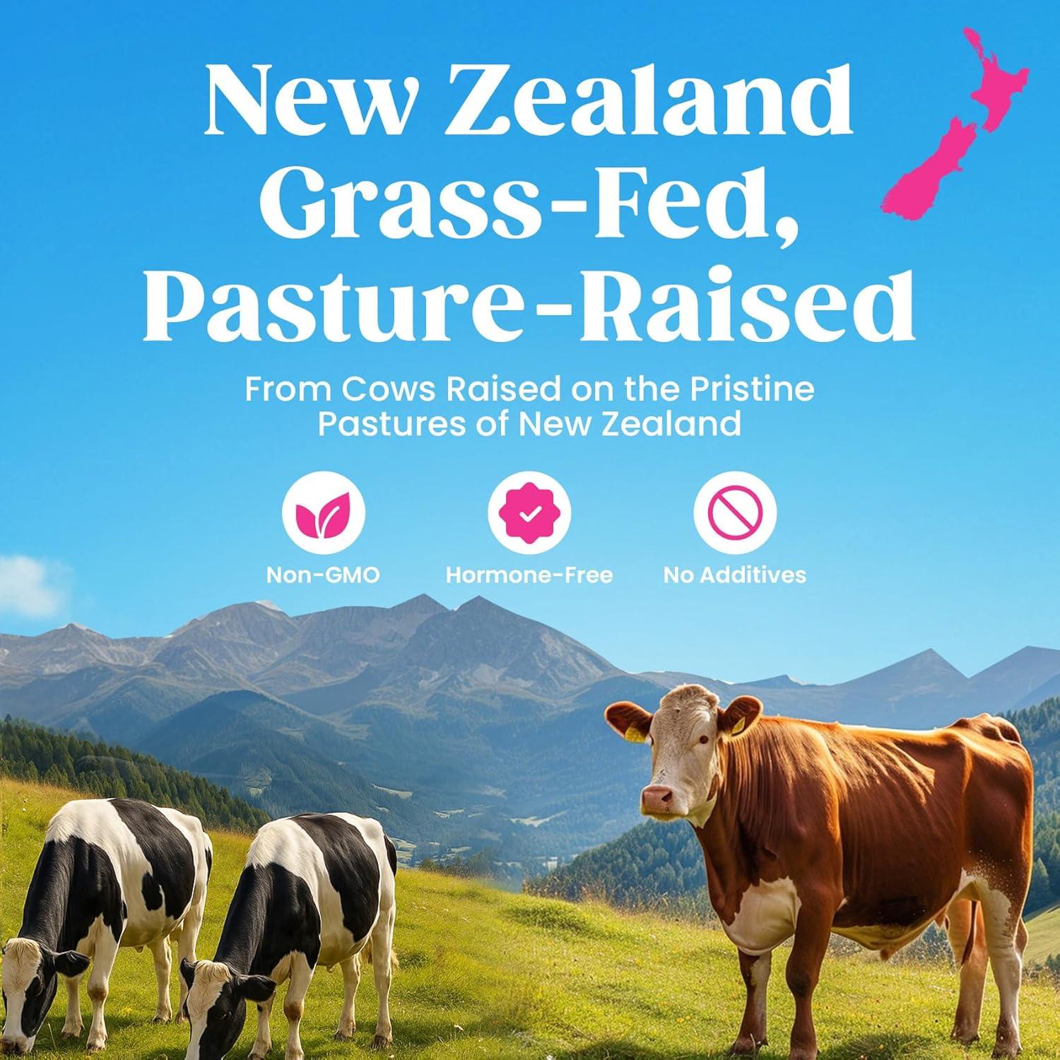 Polvo de Proteína de Colágeno Venture Pal 300g - Sin Sabor