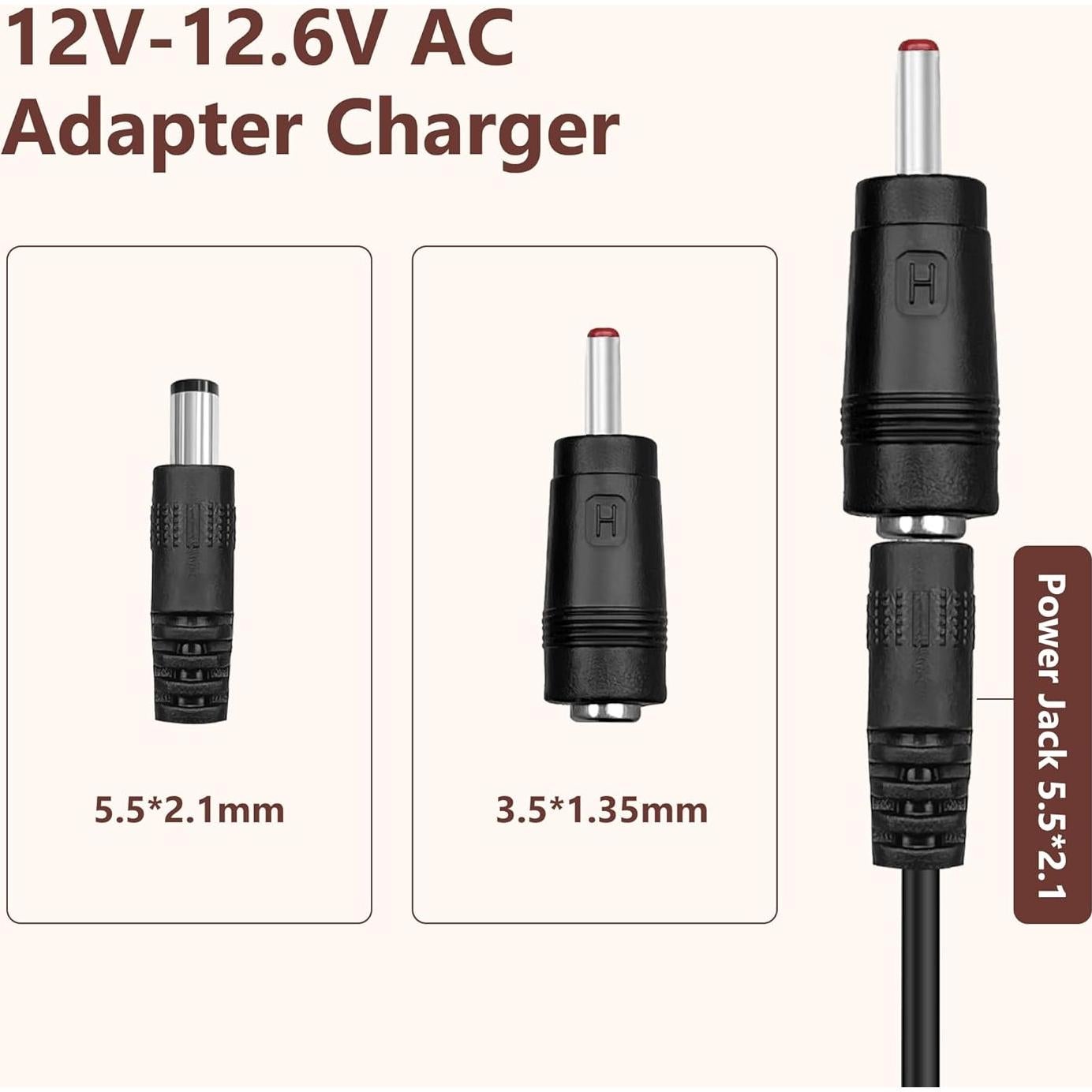 Cargador 12V-12.6V 1A GnoTis para Pistolas de Masaje