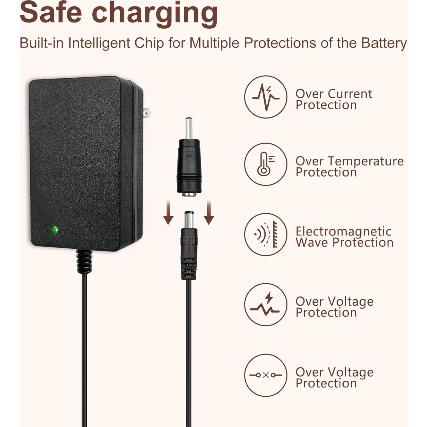 Cargador 12V-12.6V 1A GnoTis para Pistolas de Masaje