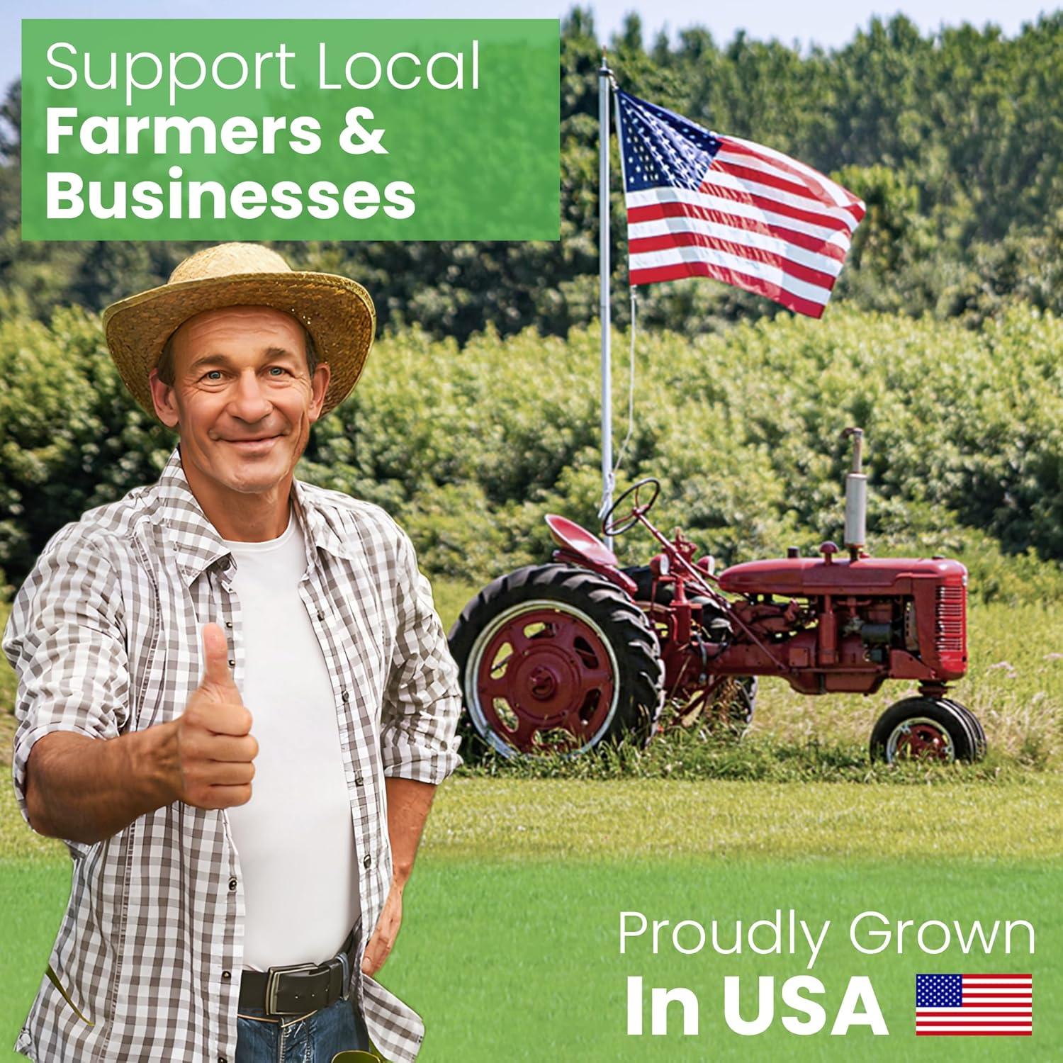 Relleno de Cáscaras de Trigo Sarraceno Orgánico Bean Products 2.27 kg