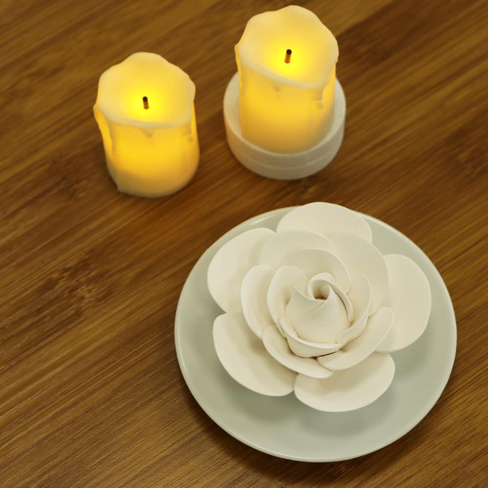 Difusor Pasivo de Cerámica Oumeiben - Camelia Blanca, 8.89cm