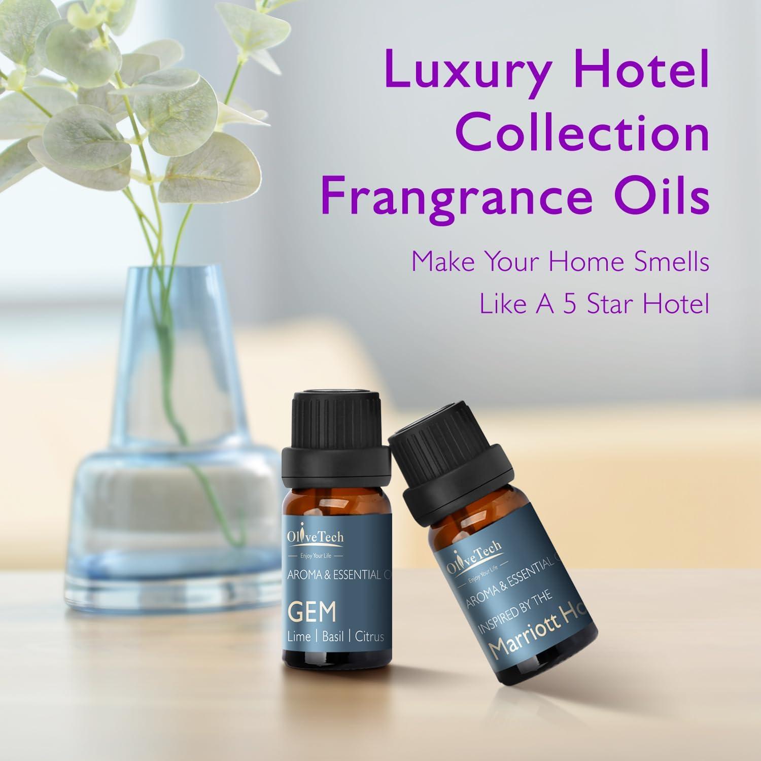 Difusor de Aromas Sin Agua OliveTech OTKX4 10ml Aceites