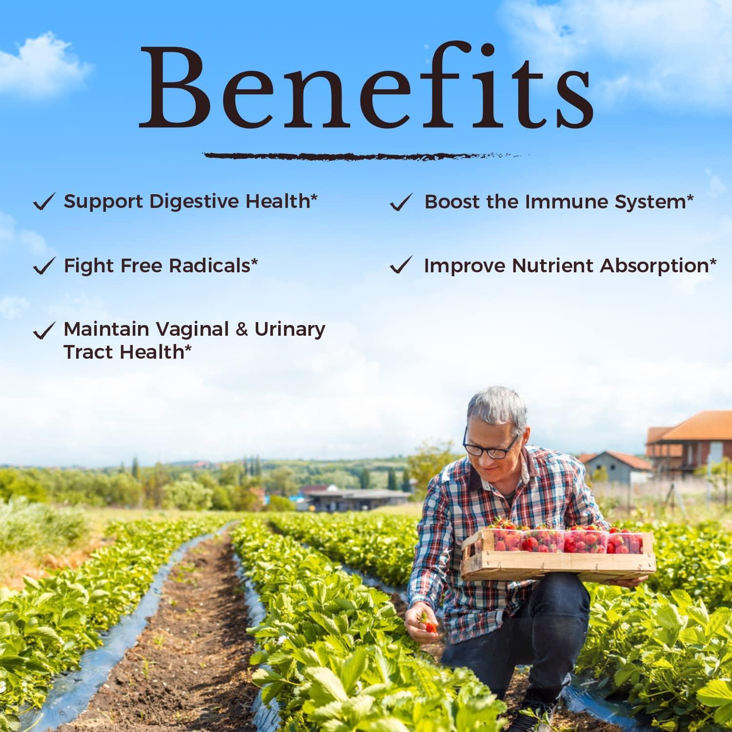 Probioticos Vitalitown para Mujeres 120 Mil Millones CFUs 30 Capsulas