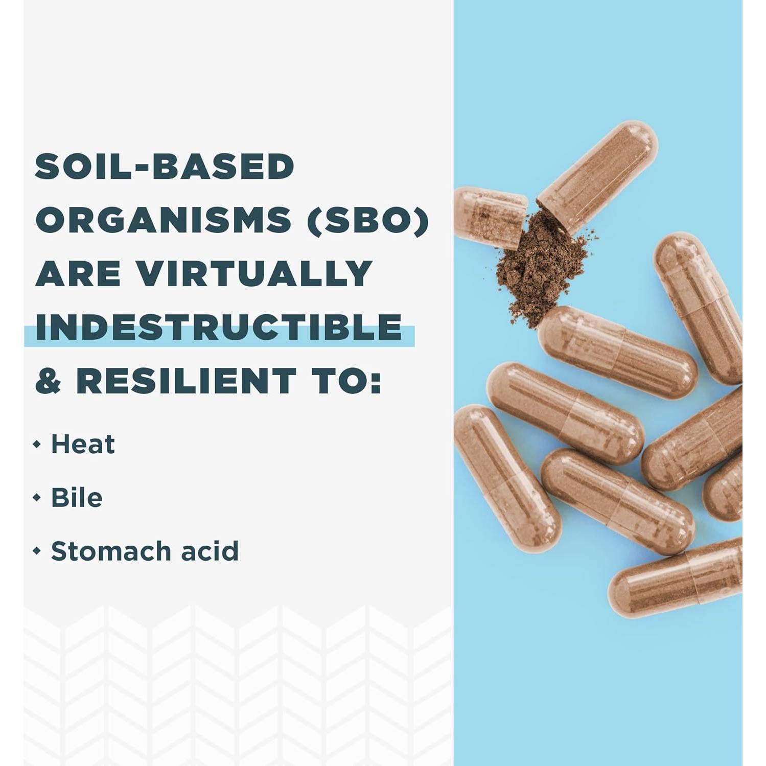 Probioticos SBO para Mujeres Nutrición Antigua 60 Cápsulas