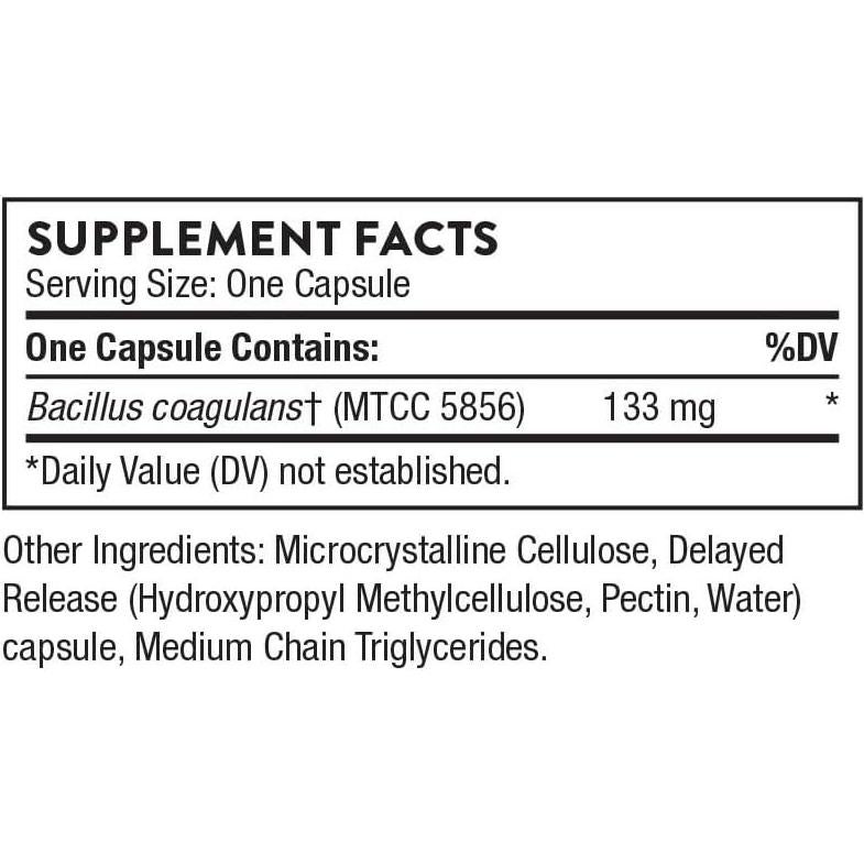 Suplemento Probiótico Thorne Bacillus Coagulans 60 Cápsulas
