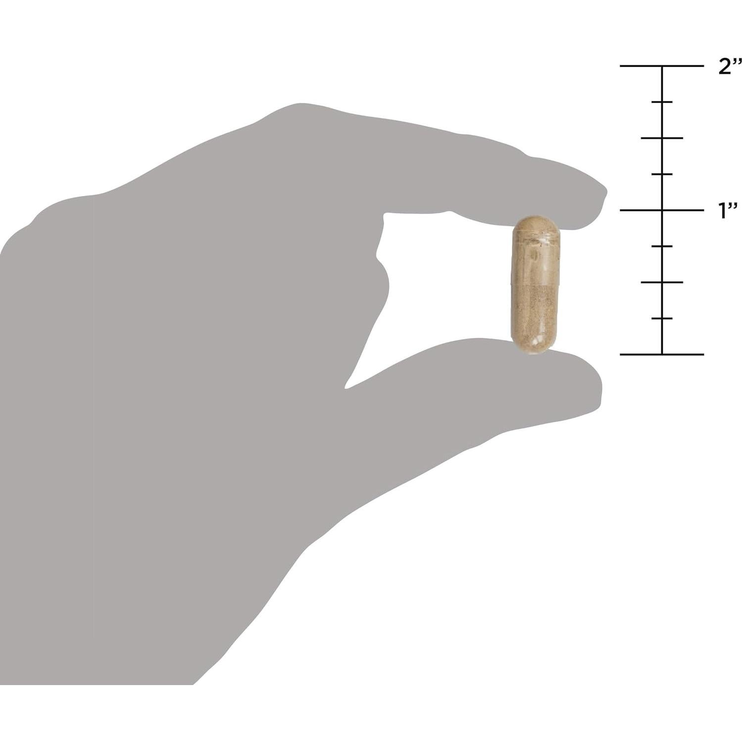 Probioticos Antiguos Nutrición Antigua 60 Cápsulas 100 Mil Millones CFU
