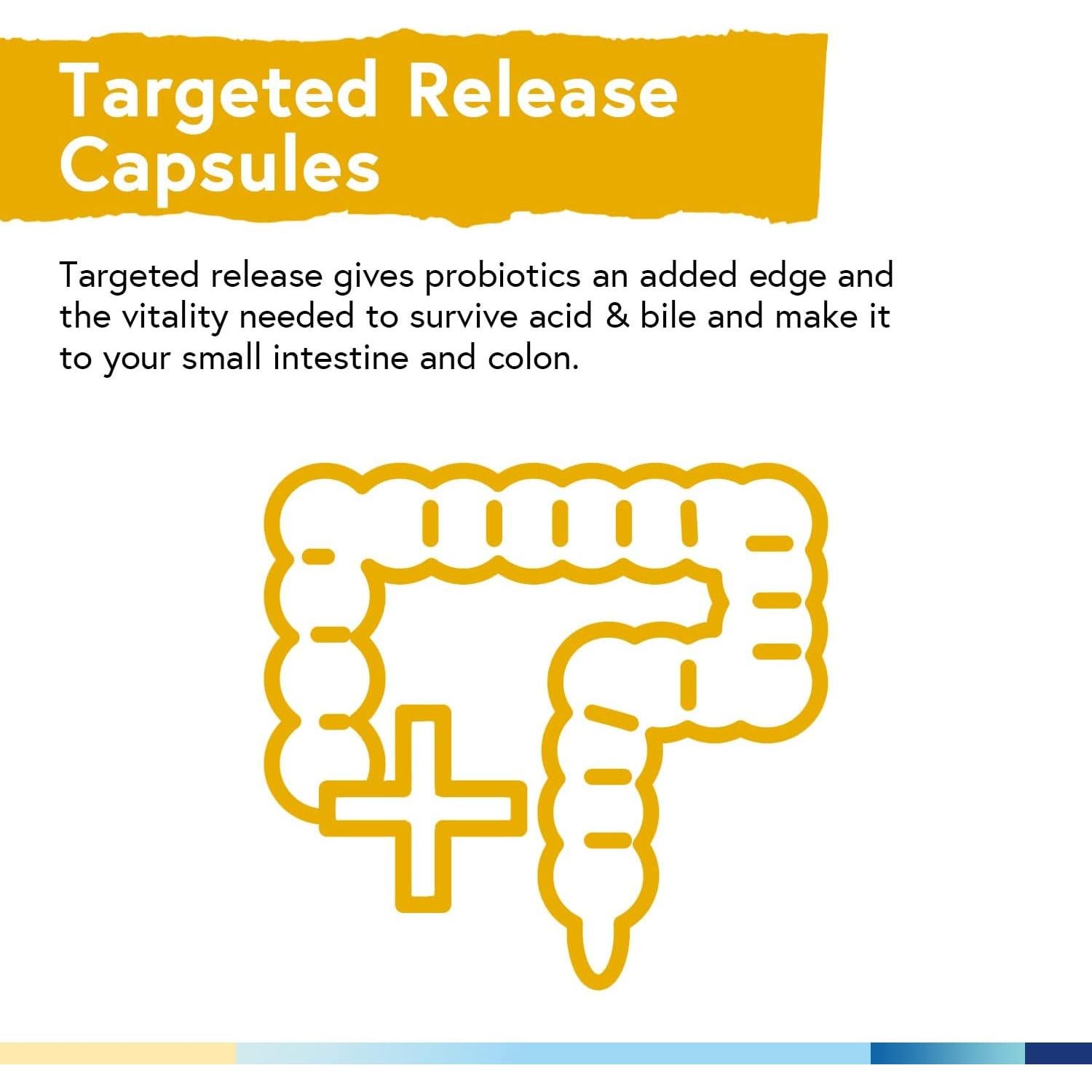 Terranics Probioticos 60 Mil Millones CFU 20 Cepas 60 Capsulas