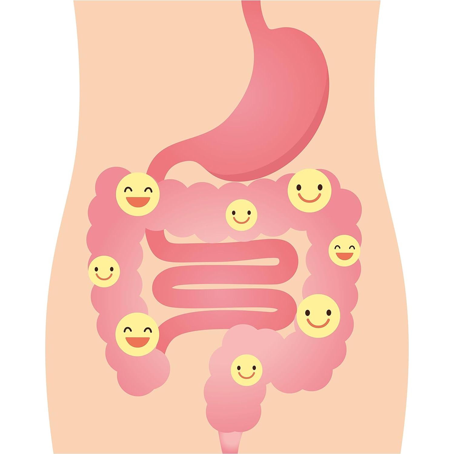 Probioticos Nexabiotic 60 Cápsulas Liberación Retrasada