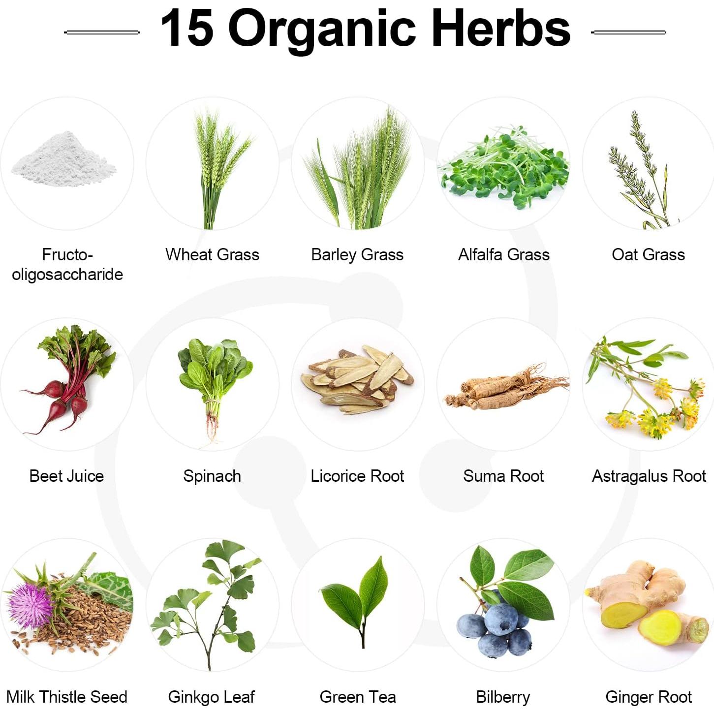 Probioticos Dmeisy 300 Mil Millones CFU 24 Cepas + 15 Hierbas