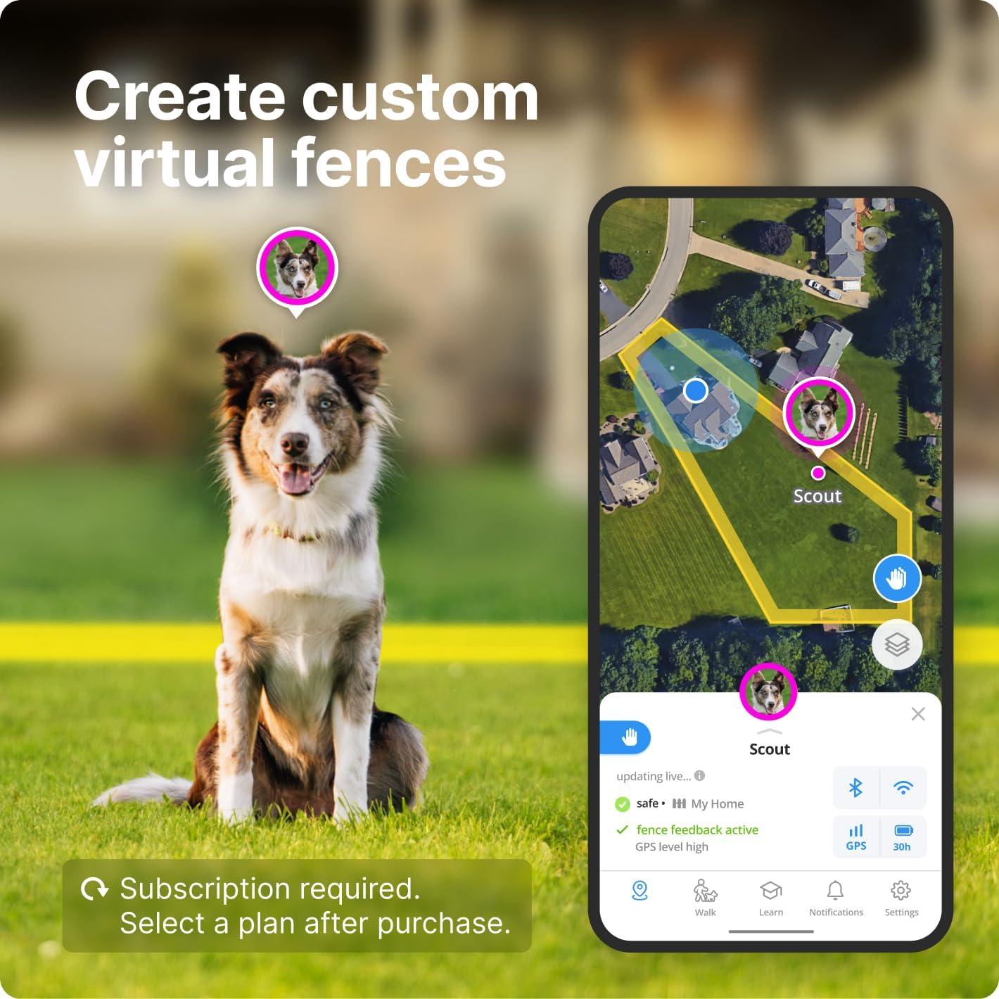 Halo Collar 3 - Collar GPS Inalámbrico para Perros Mediano/Grande