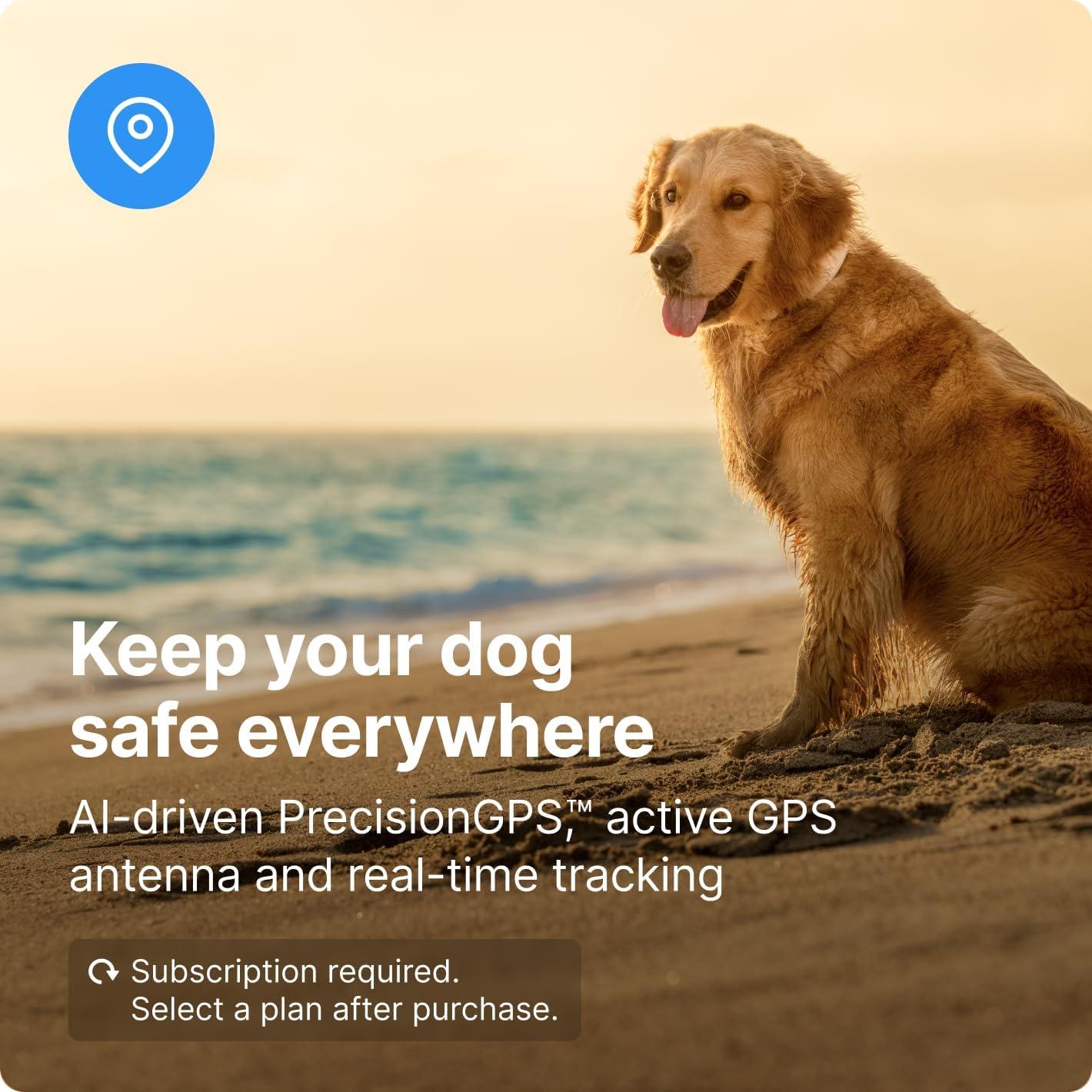 Halo Collar 3 - Collar GPS Inalámbrico para Perros Mediano/Grande