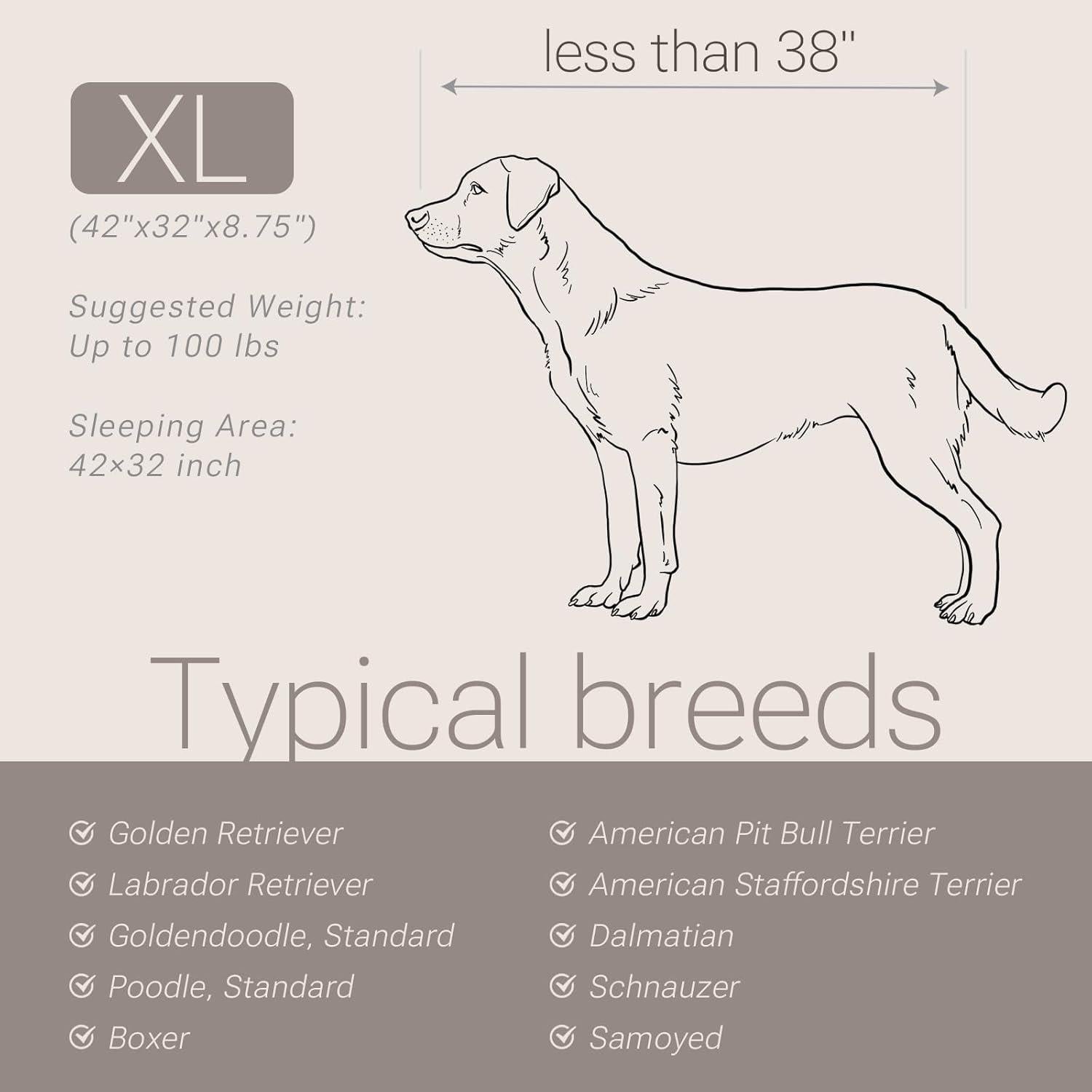 Cama Ortopédica para Perros XL Soft Touch Crema 106.68x81.28cm