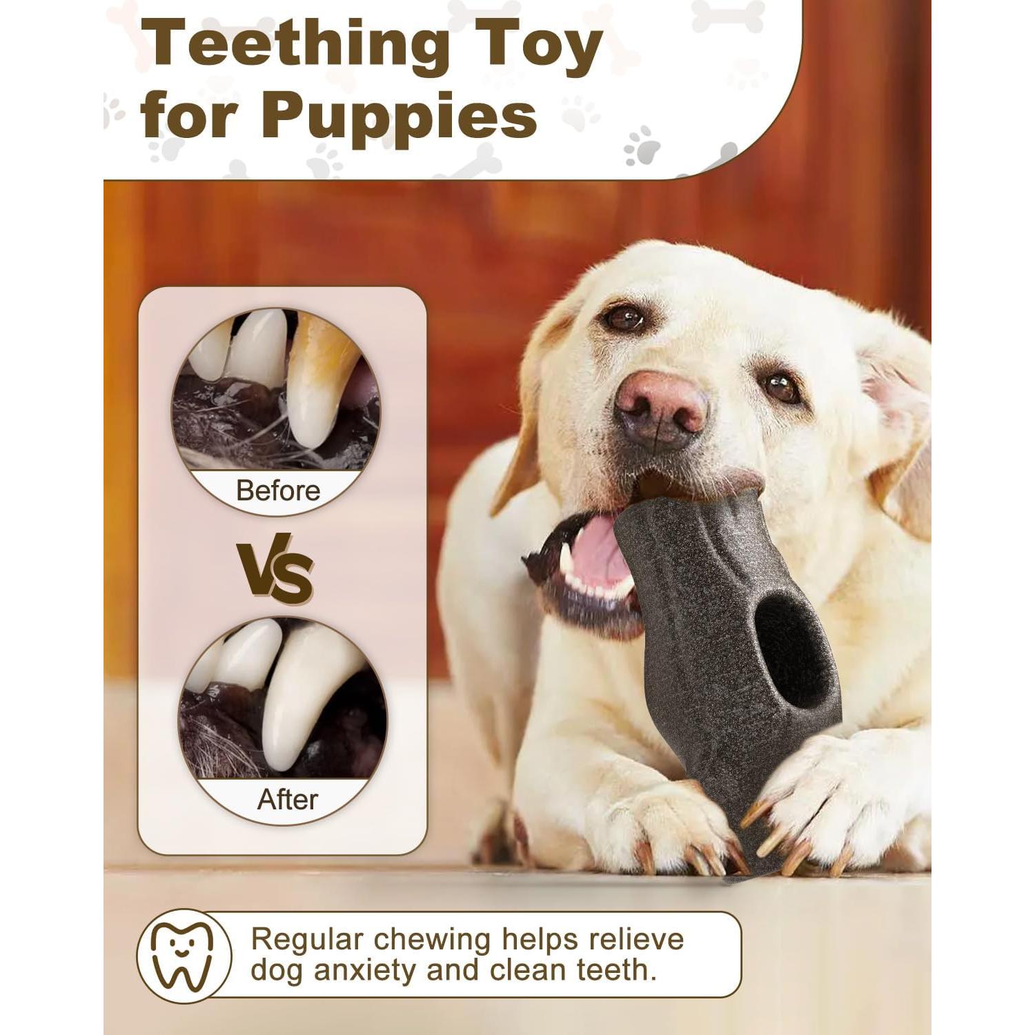 Juguete Interactivo para Perros NEMOVA - Golosinas Congeladas