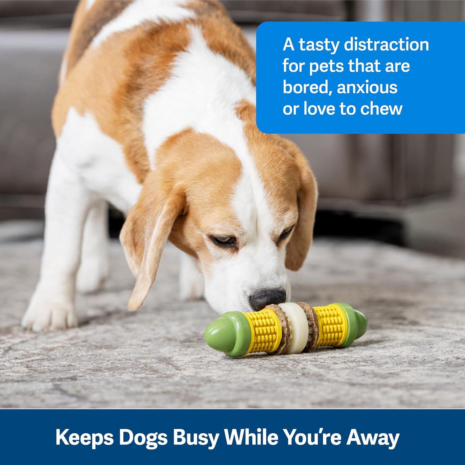 Juguete para perros PetSafe Busy Buddy Cravin Corncob - Masticar con golosinas - Caucho libre de BPA