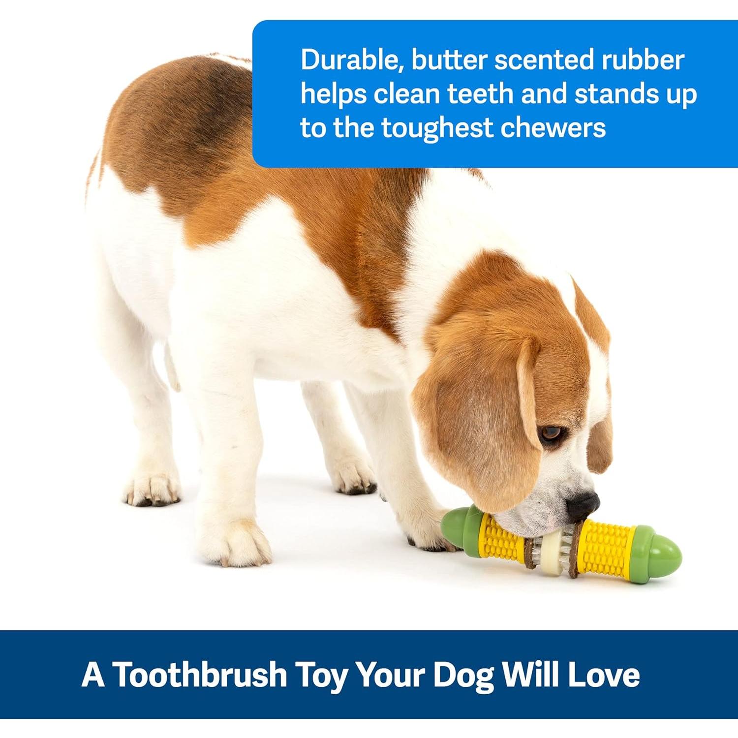 Juguete para perros PetSafe Busy Buddy Cravin Corncob - Masticar con golosinas - Caucho libre de BPA