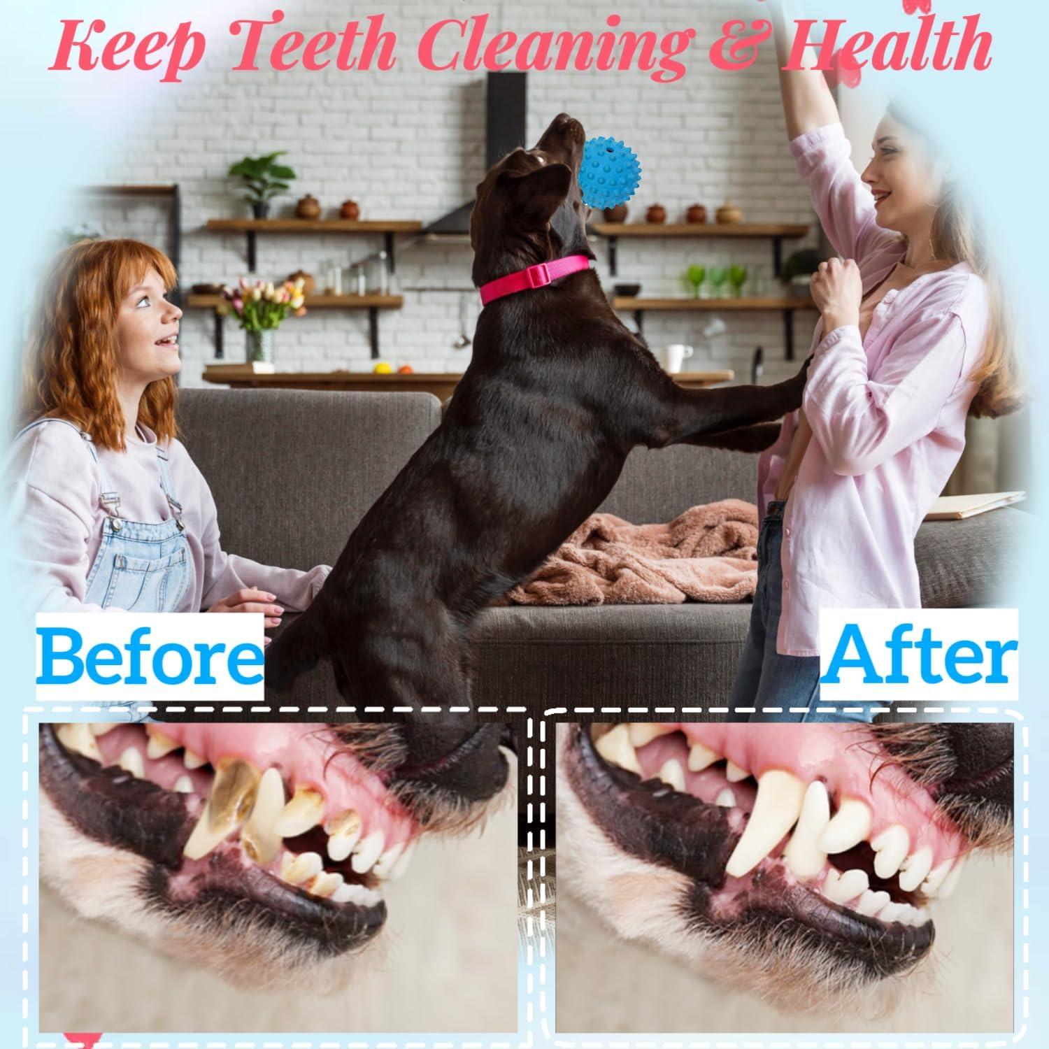 2Pack Pelotas Interactivas para Perros CIIVURR - Goma Resistente