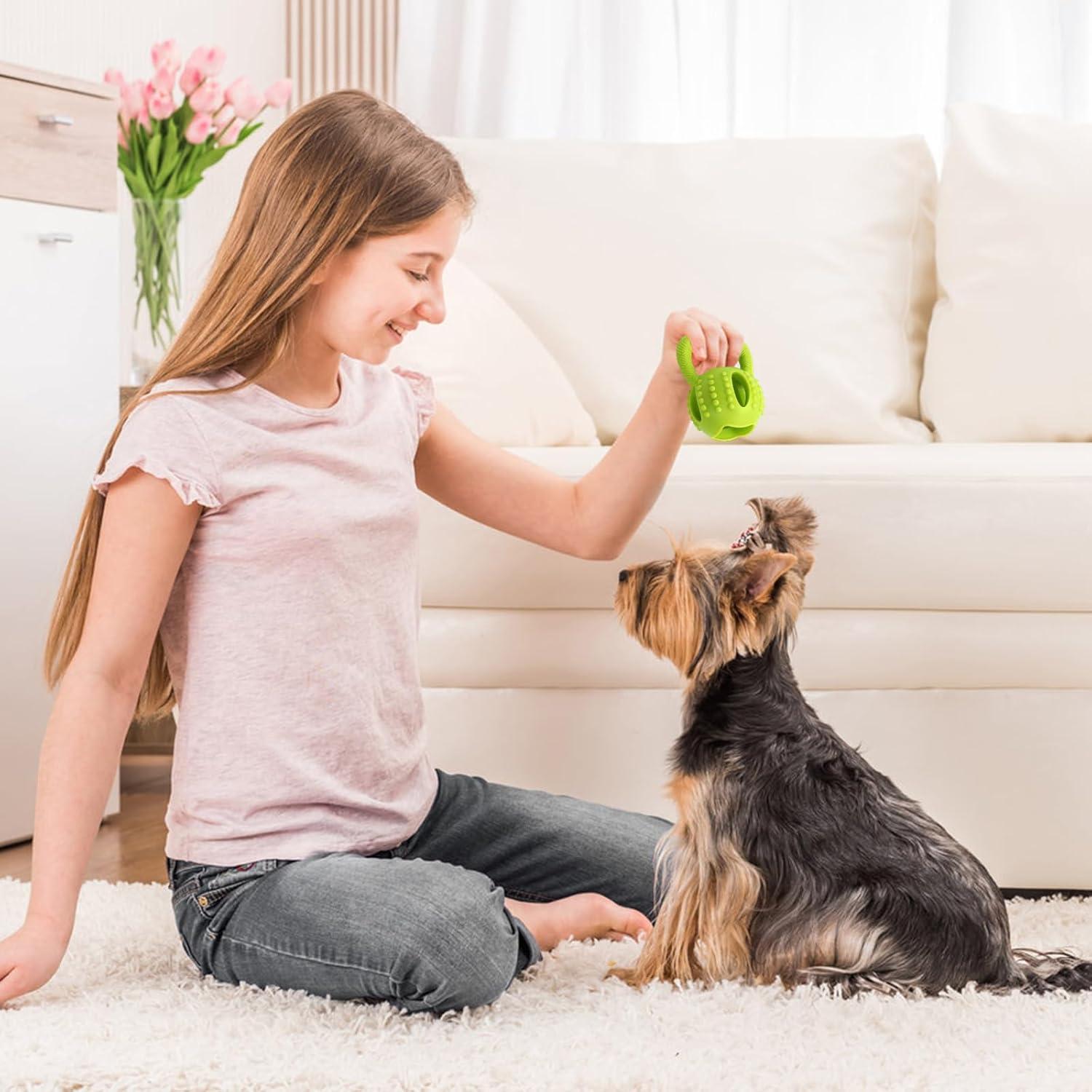 Juguete interactivo para perros BSpace - Bola dispensadora 10 cm