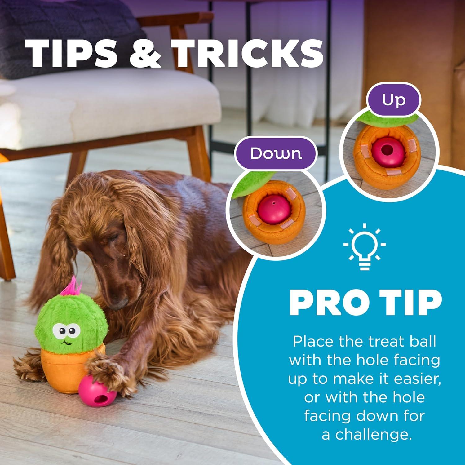 Juguete Interactivo para Perros Outward Hound Snack Palz Cactus