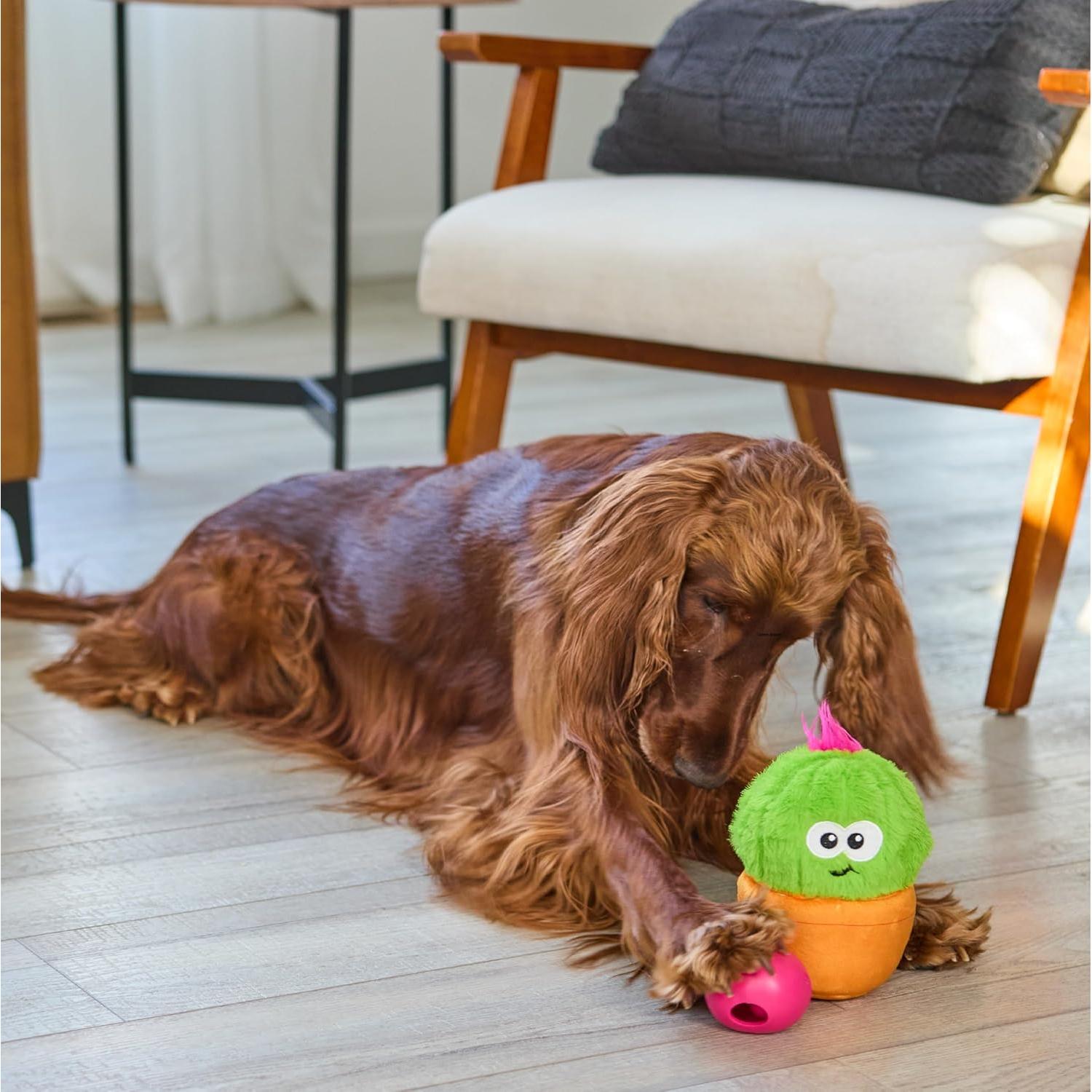 Juguete Interactivo para Perros Outward Hound Snack Palz Cactus