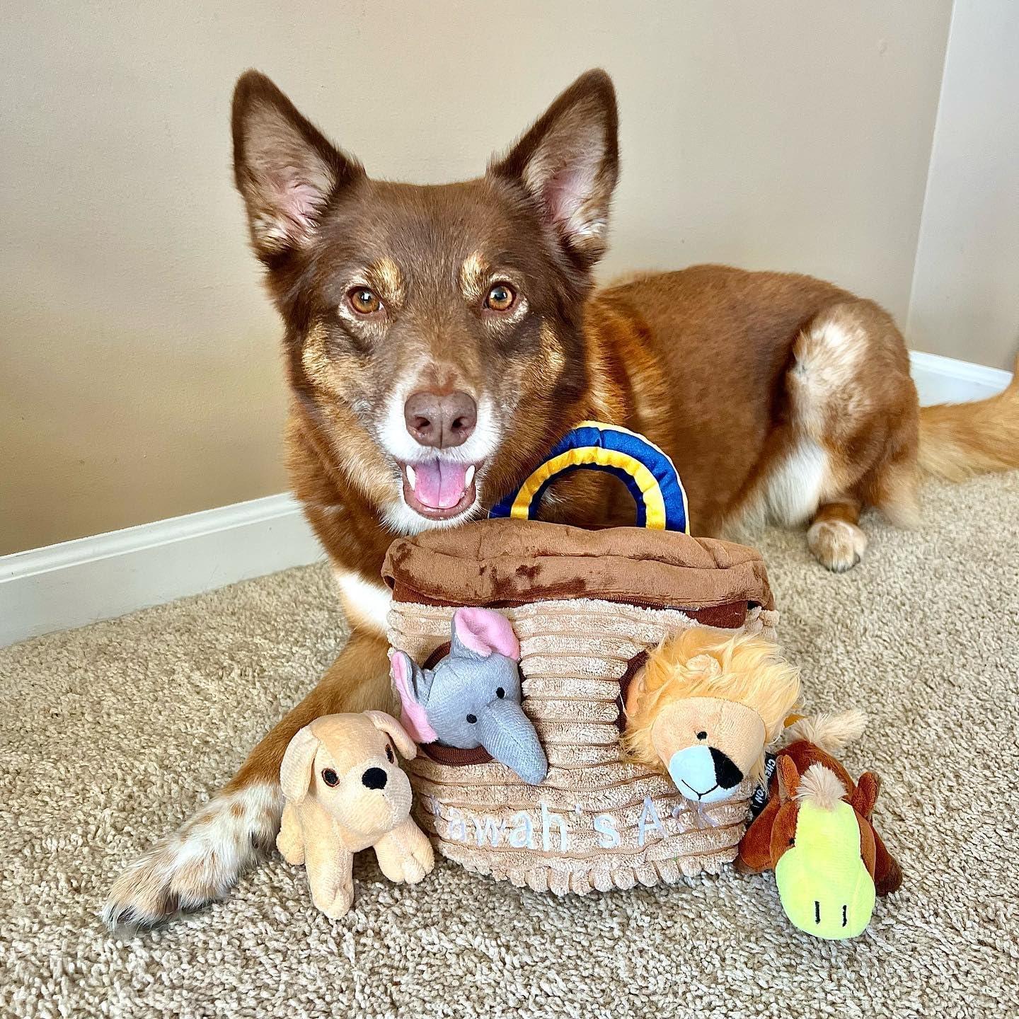 Juguete Interactivo para Perros CHEWFFON Arca de Noé 5 Piezas