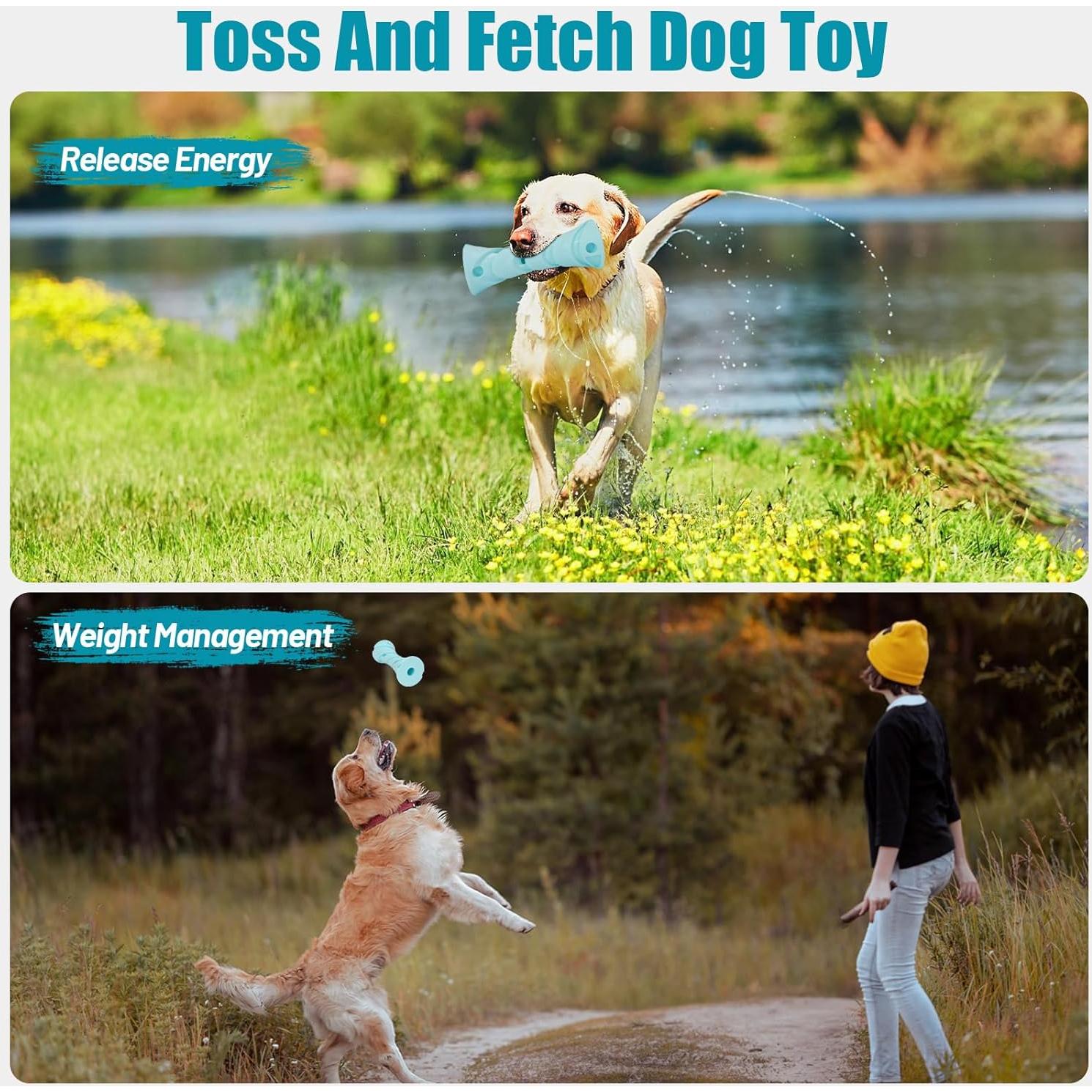 Juguete Interactivo para Perros KGPERGU PHS001 16.5cm Azul