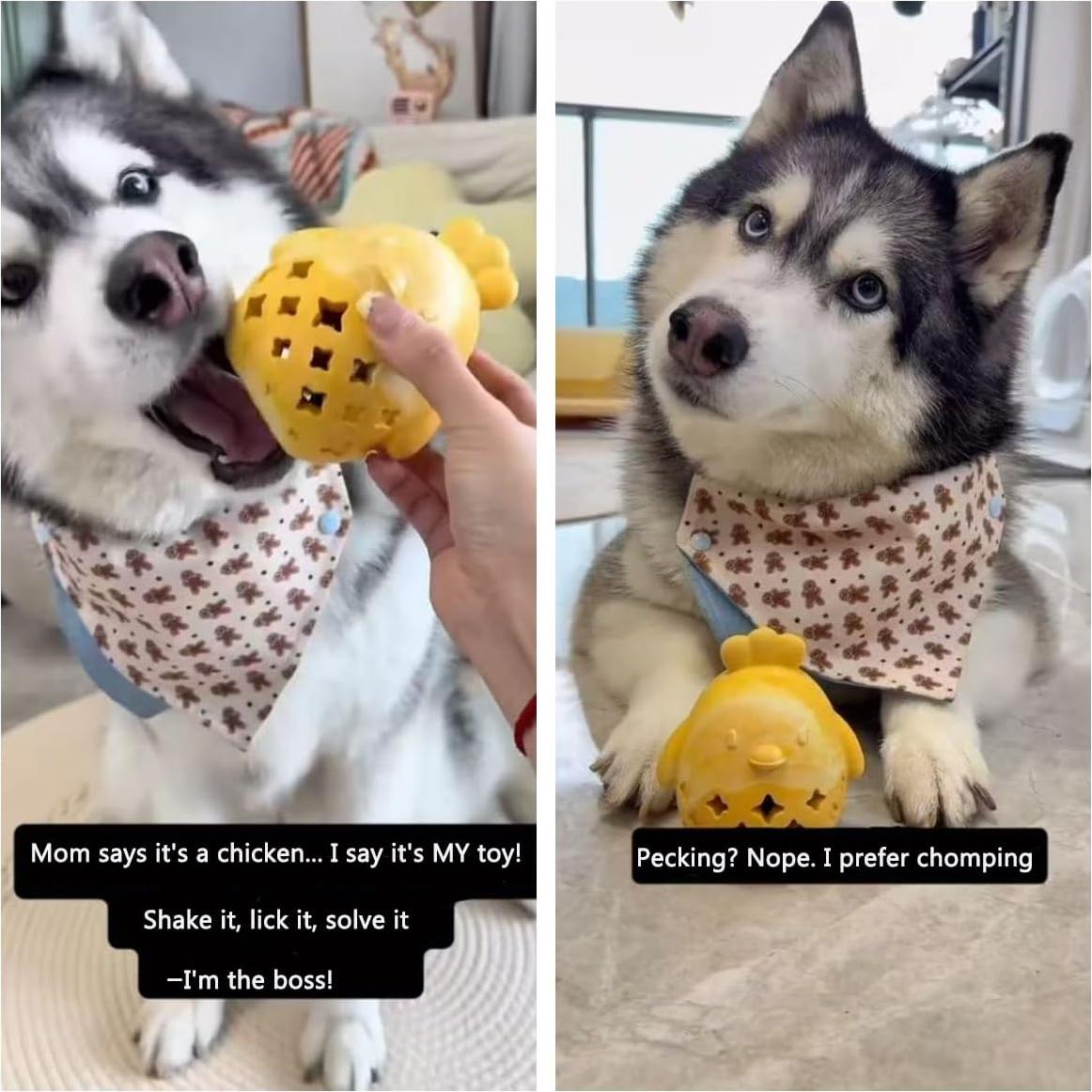 Juguete Dispensador de Comida MewaJump Gallina 8.5cm