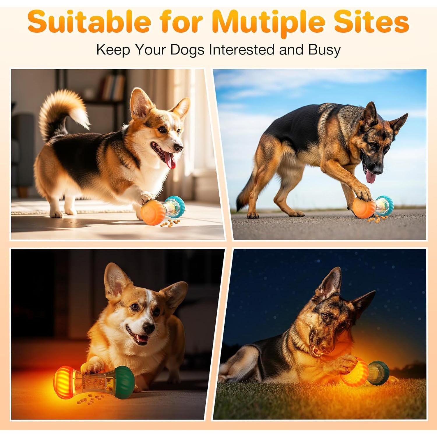 Juguete interactivo LED para perros Feycig LP006 - Estimulación mental