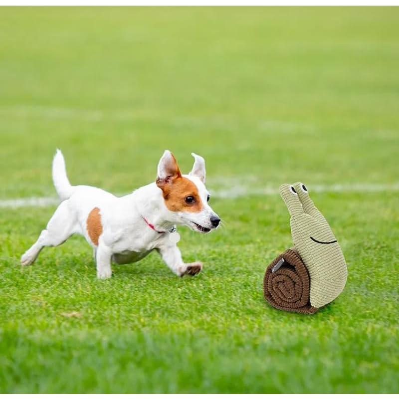 Juguete Interactivo para Perros Doglemi Caracol Verde