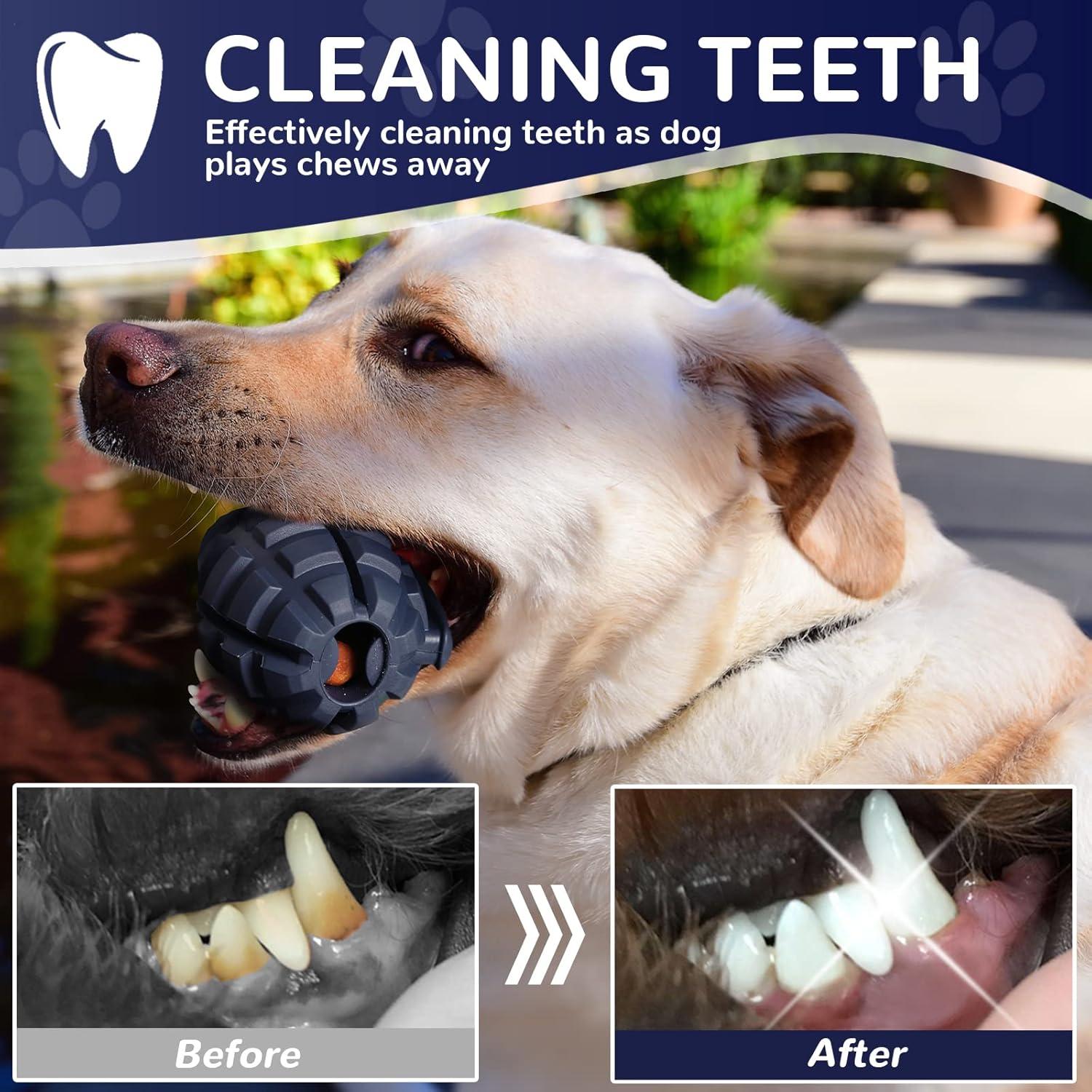 Juguete para Perros Indestructible Fairsh-03 Azul 10.7x7.9cm