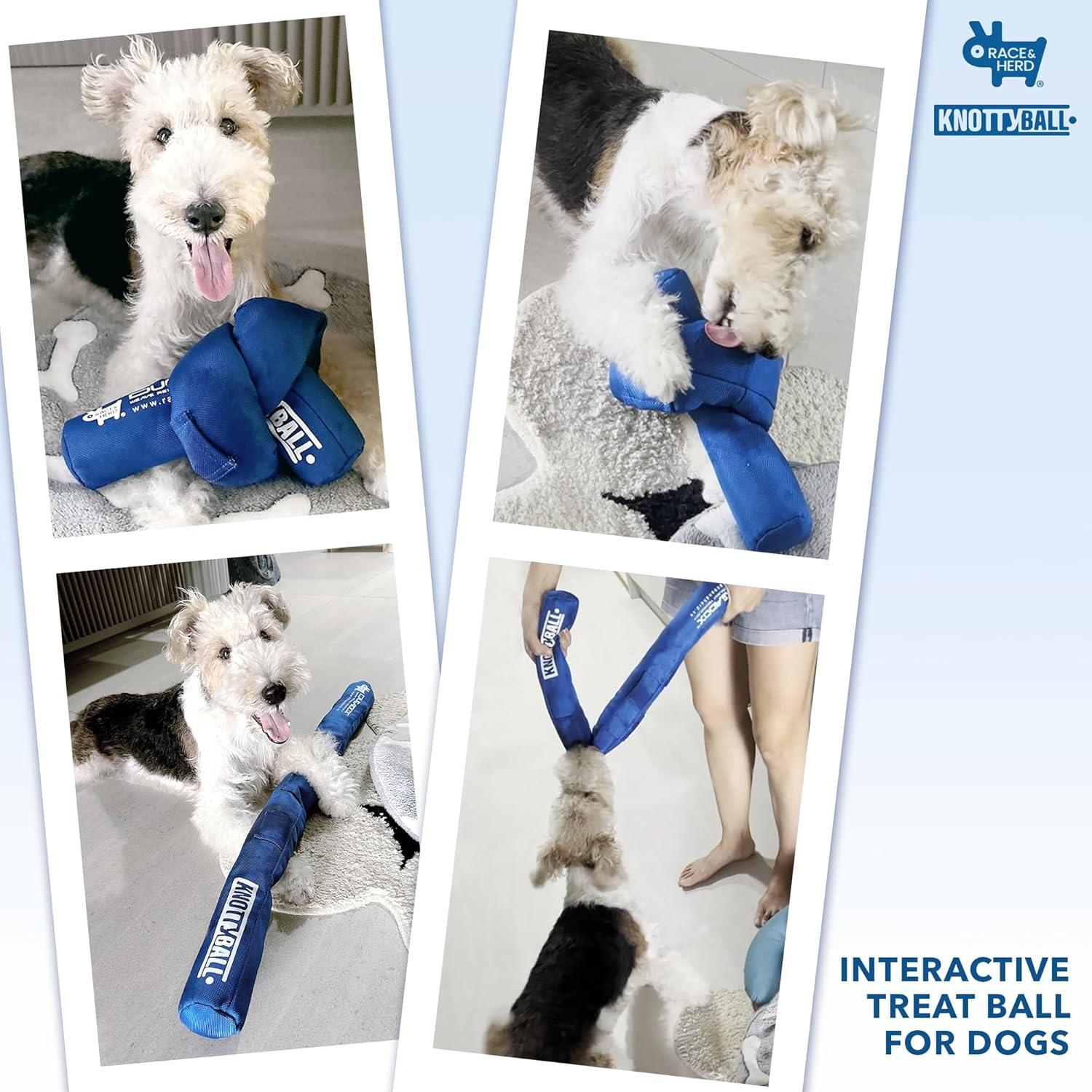 Juguete de Rompecabezas para Perros Race&Herd Knotty Ball - Azul Mediano