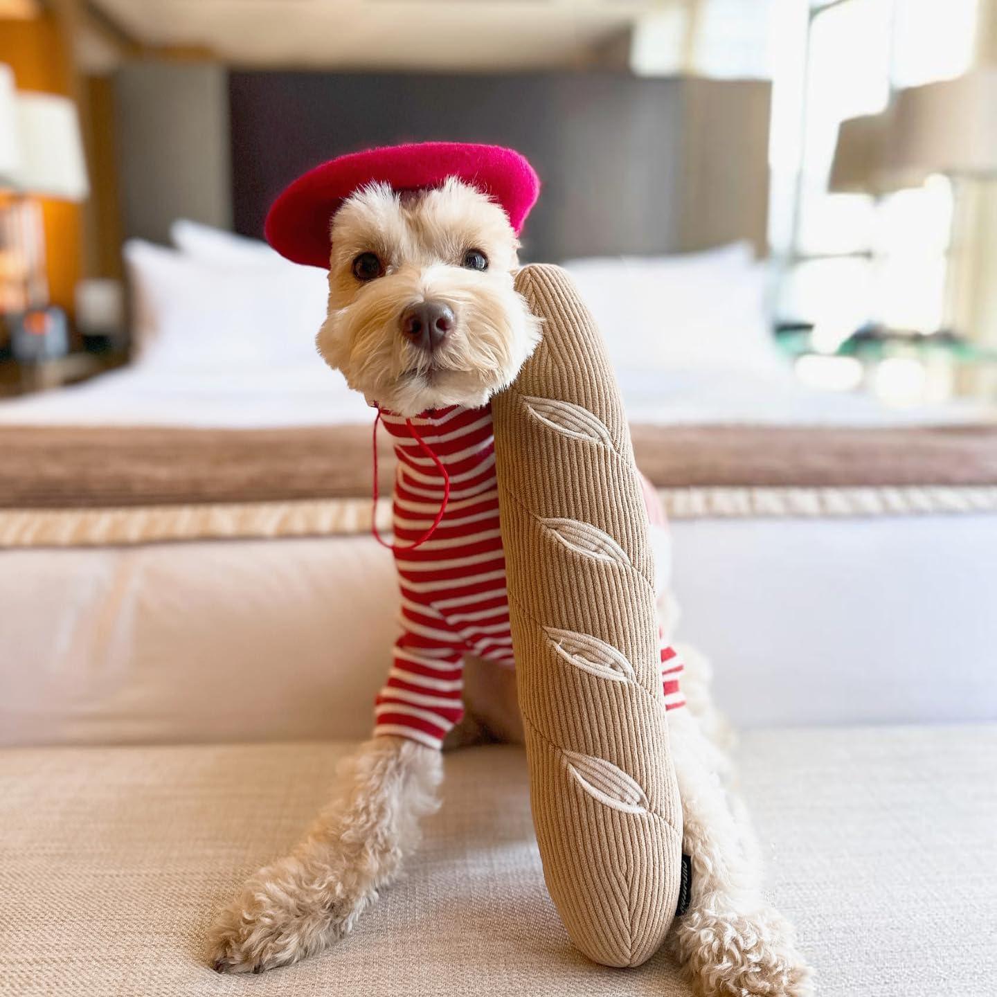 Juguete Interactivo para Perros CHEWFFON Baguette 36.83cm