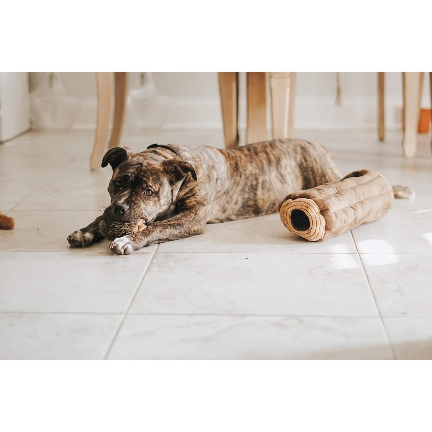 Juguete Interactivo para Perros ZippyPaws Tronco de Ardilla