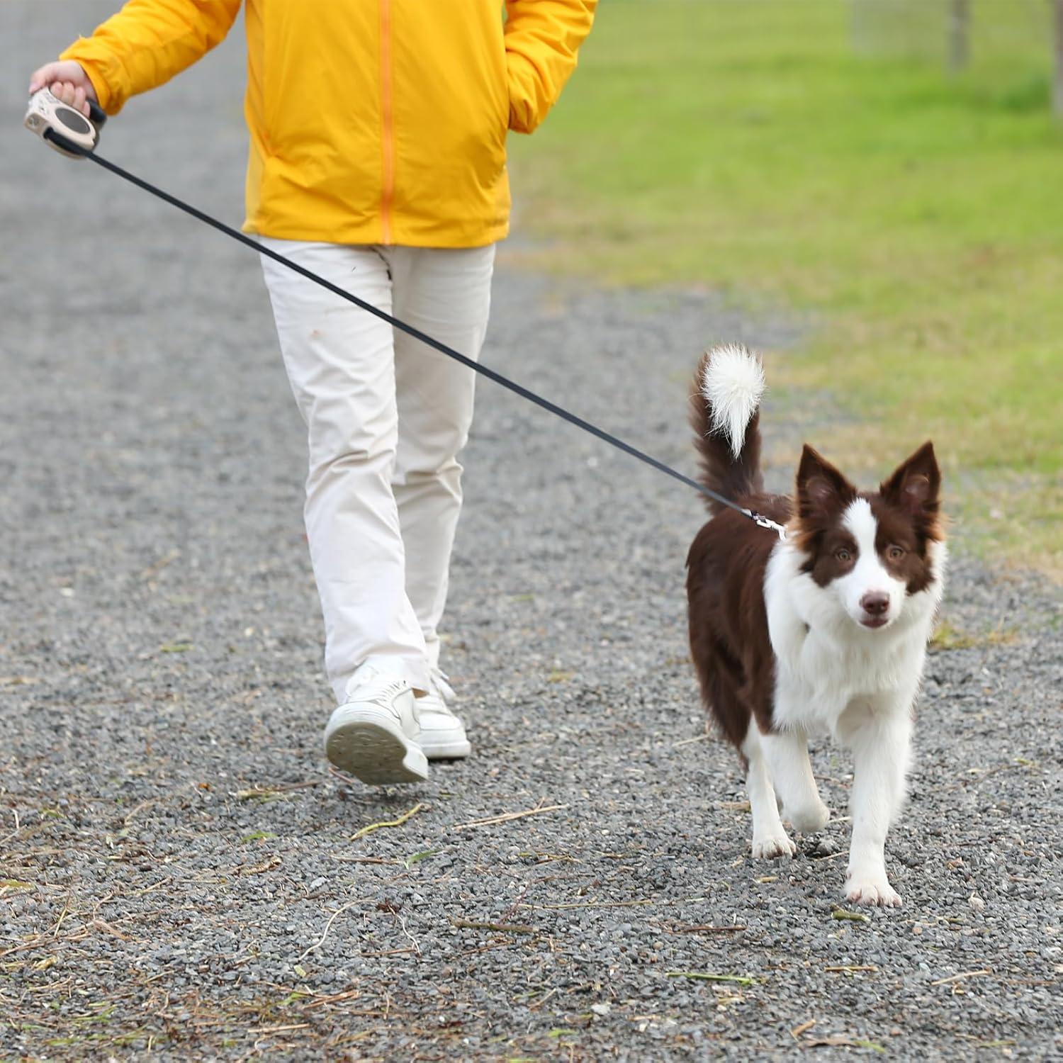 Correa de Perro Retráctil COSOWO 4.88m con Linterna USB Púrpura