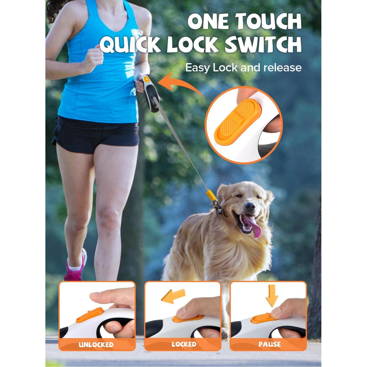 Correa de Perro Retráctil Douexio 4.88m con Linterna LED