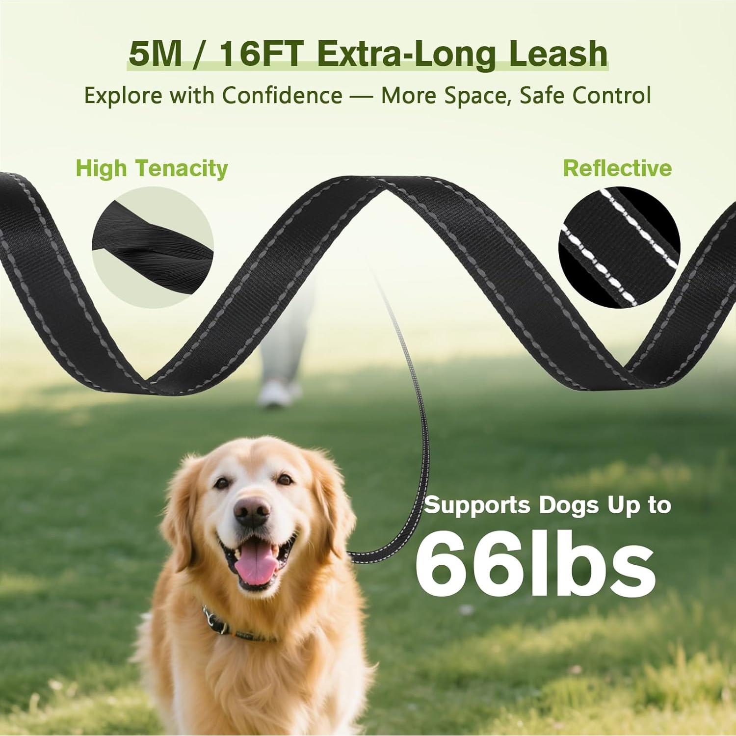 Correa de Perro Retráctil Pecute 5m con Luz LED y Antideslizante