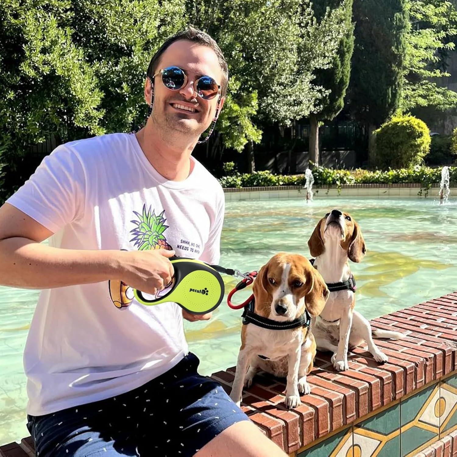 Correa de Perro Retráctil Pecute 5m con Luz LED y Antideslizante