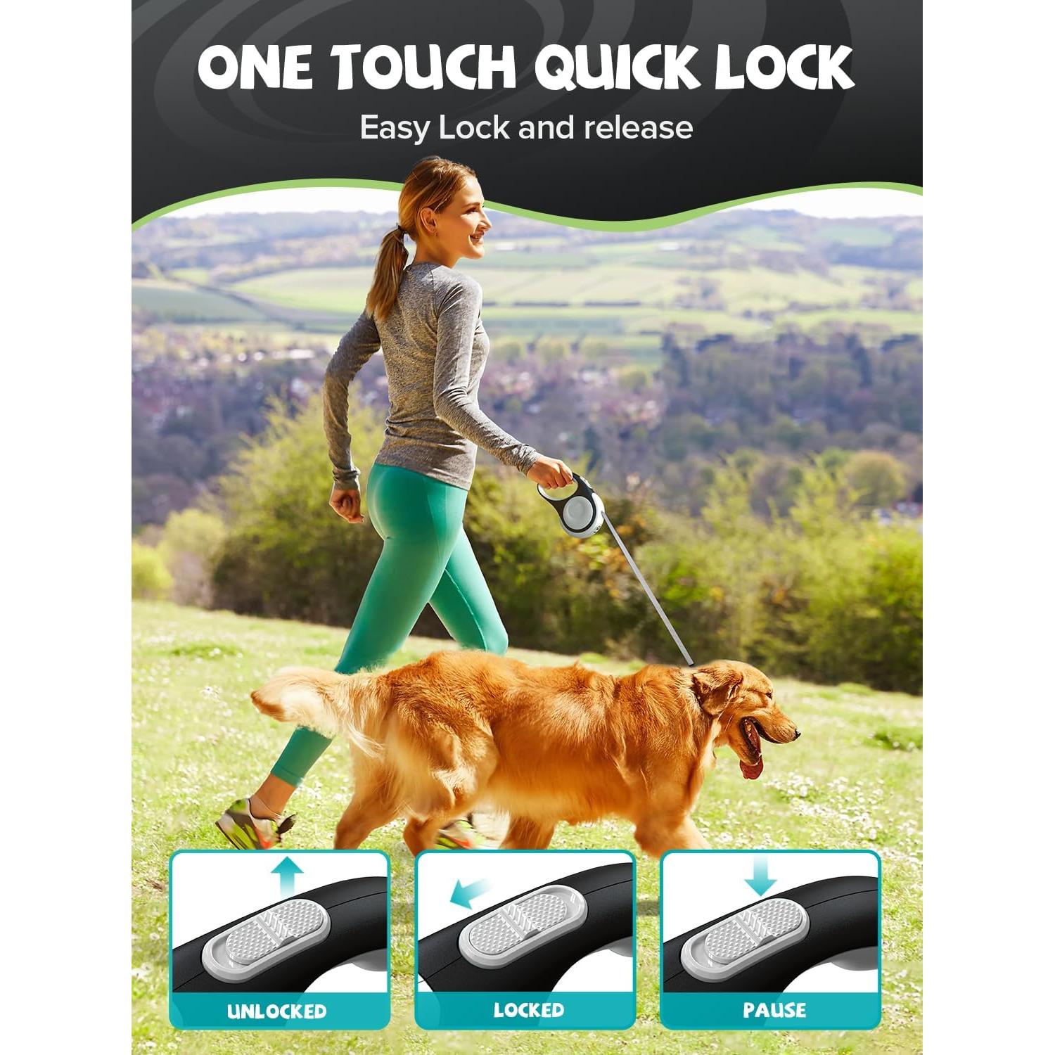 Correa de Perro Retráctil Douexio con Linterna LED 4.88m 30kg