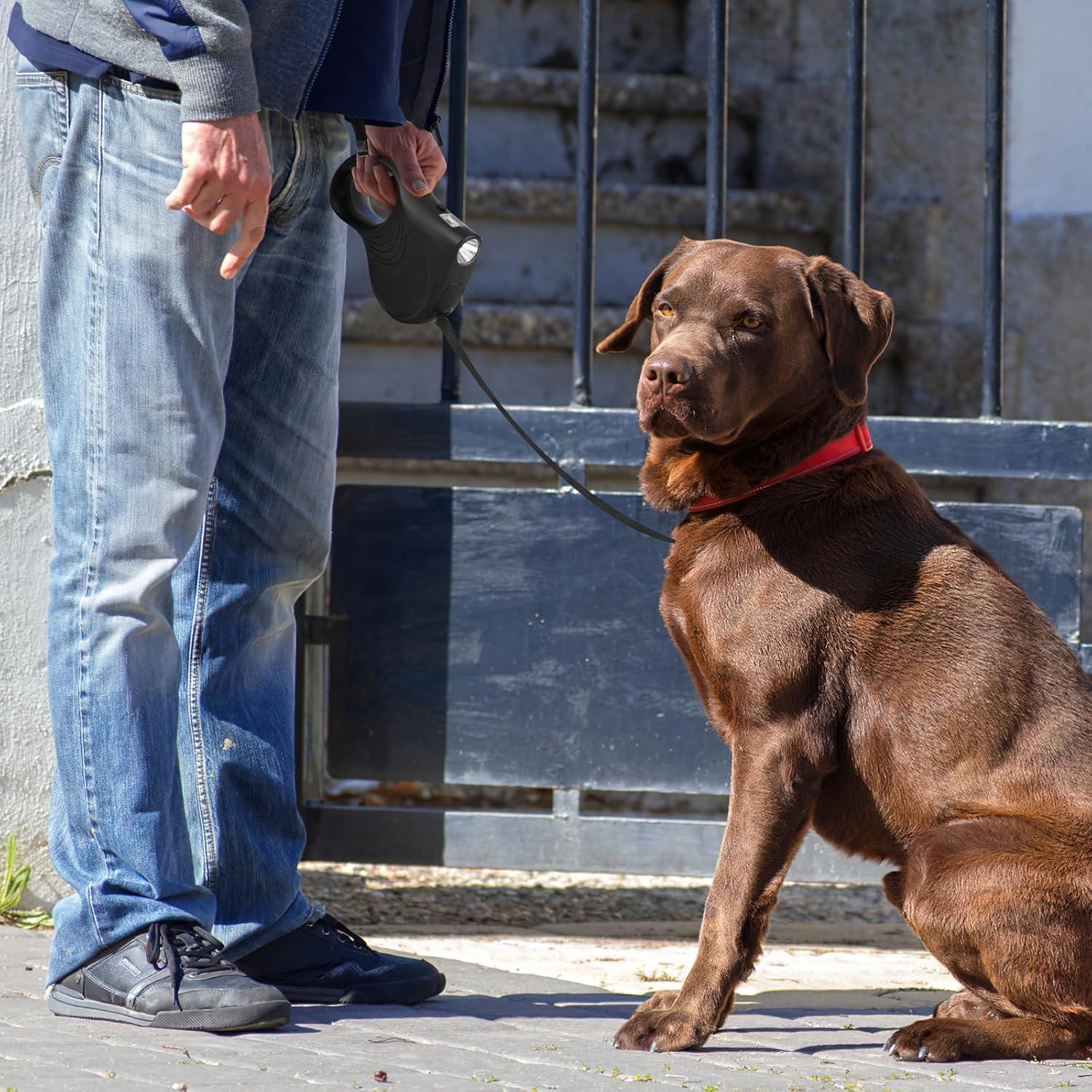 Correa retráctil para perro Cixishi 5m hasta 35kg con linterna