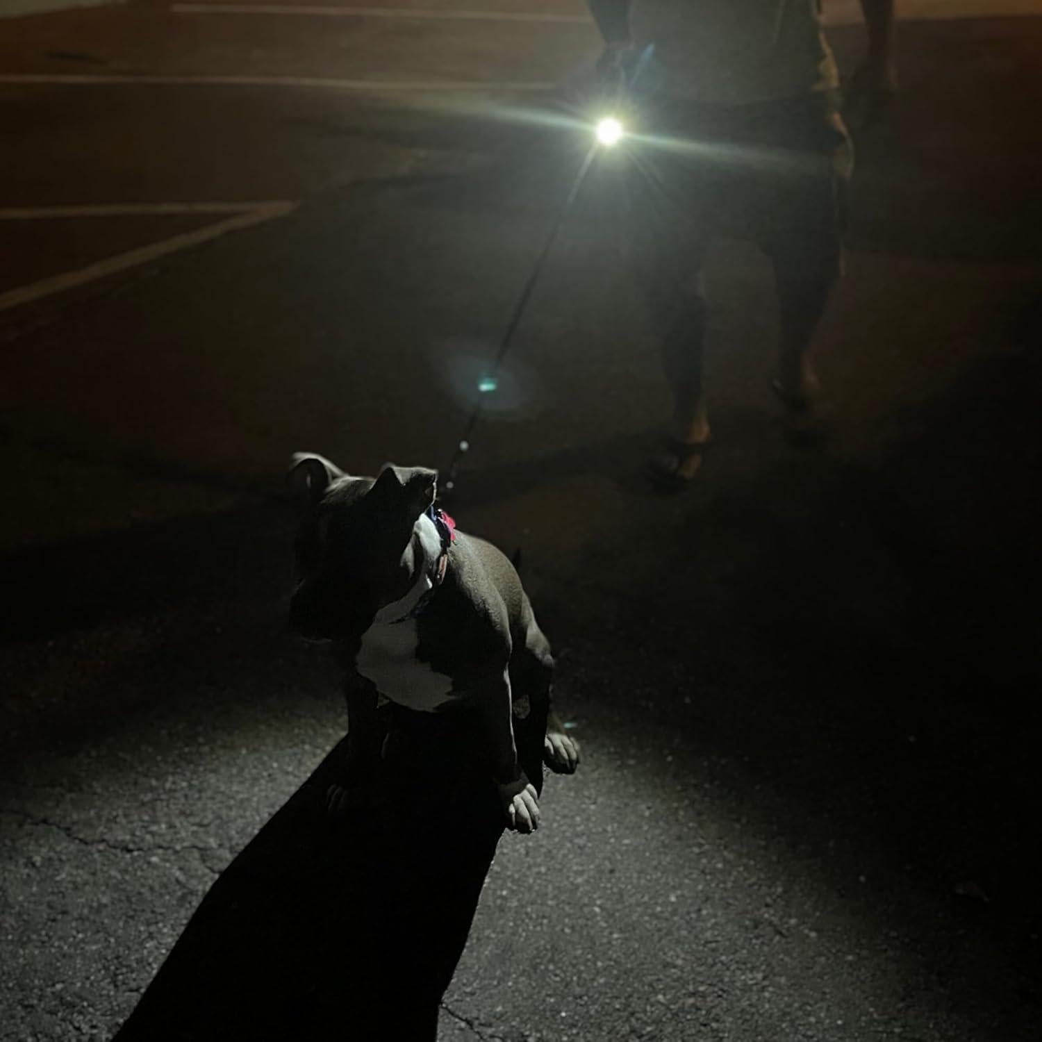Correa Retráctil para Perros Pequeños Qqpets 3m con LED
