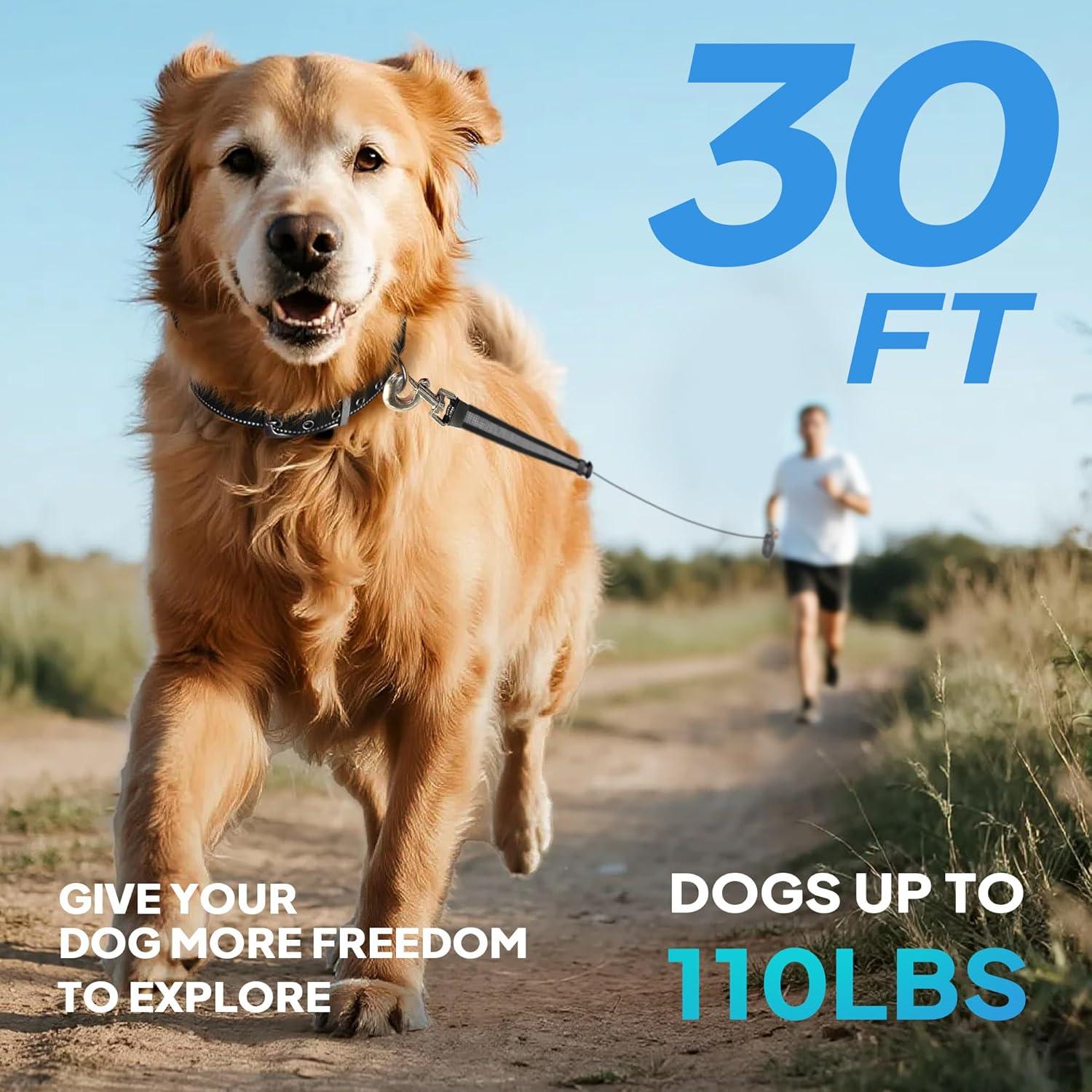 Correa Retráctil para Perros PetiFine 9.14 m Resistente hasta 49.9 kg