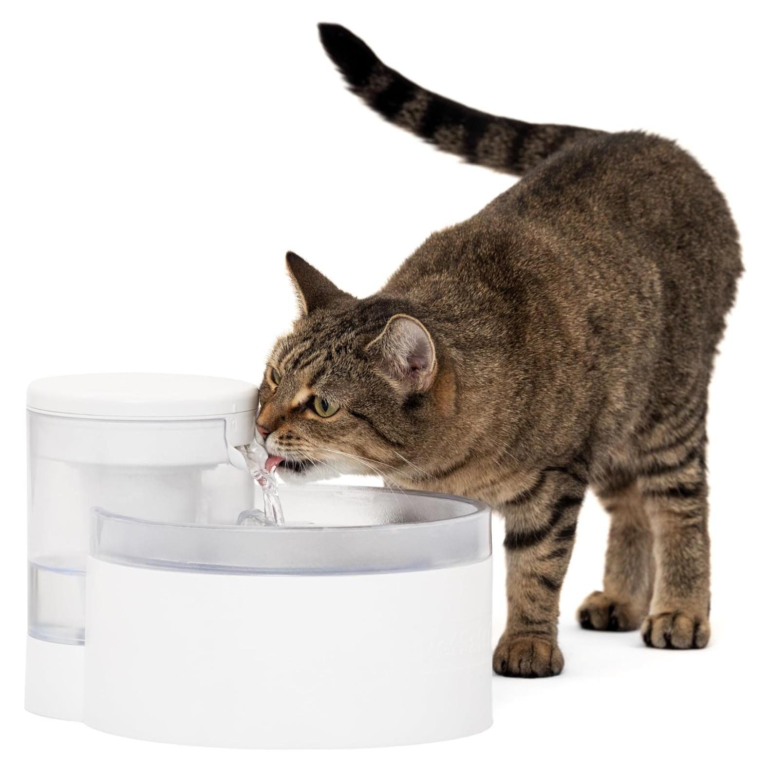 Fuente de Agua Sin Bomba PetSafe Outlast 1.7L para Gatos