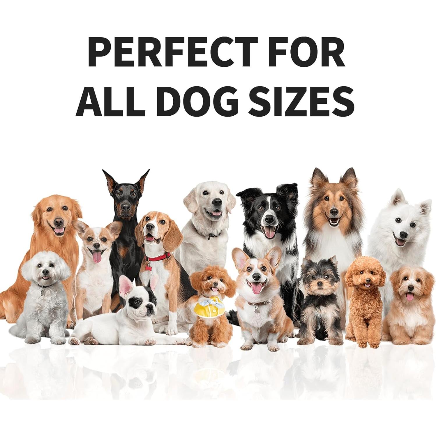 Rastreador GPS para Perros VITALGLOW X05, Sin Suscripción, Inalámbrico