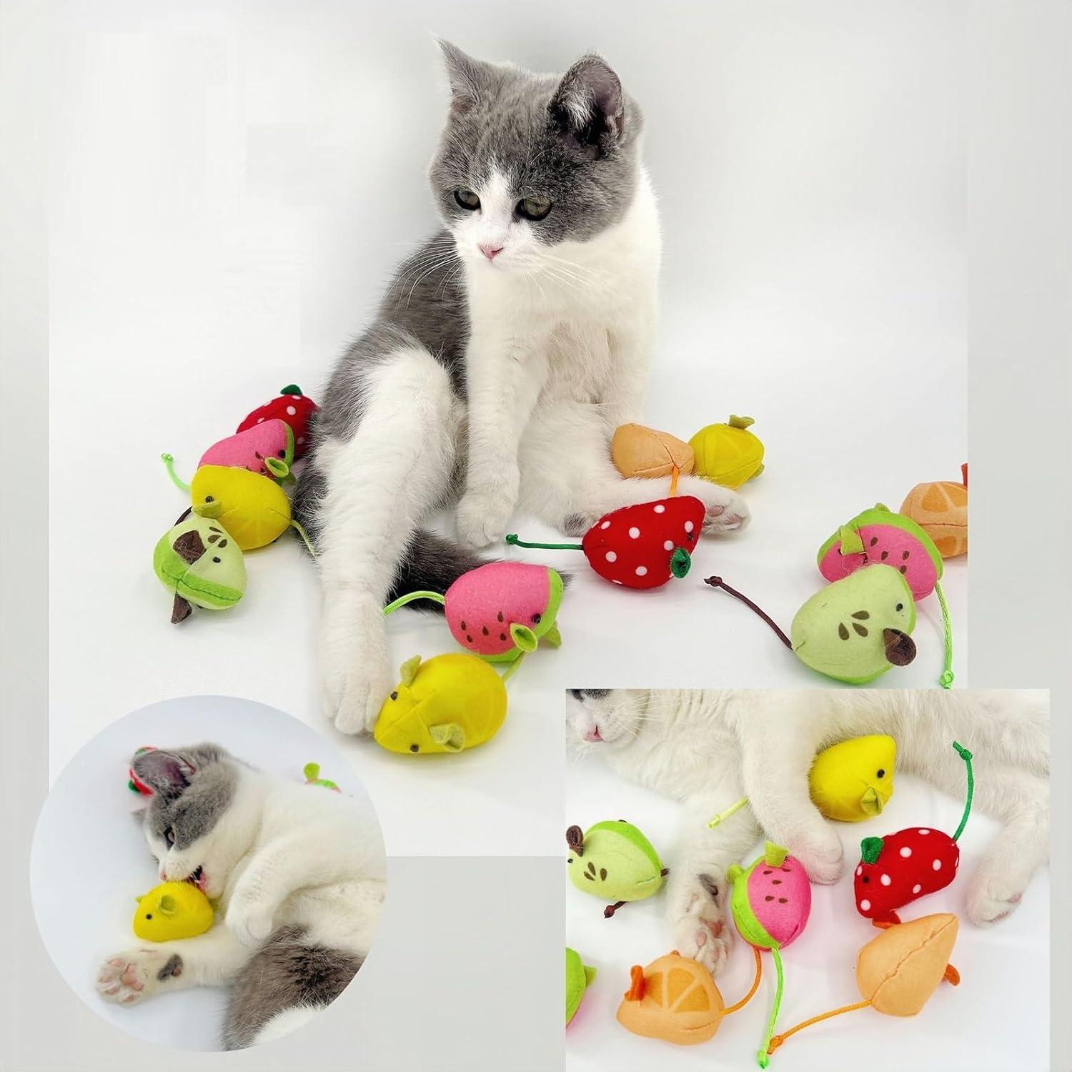 Set de Juguetes para Gatos con Hierba Gatera - 5 Piezas Frutas