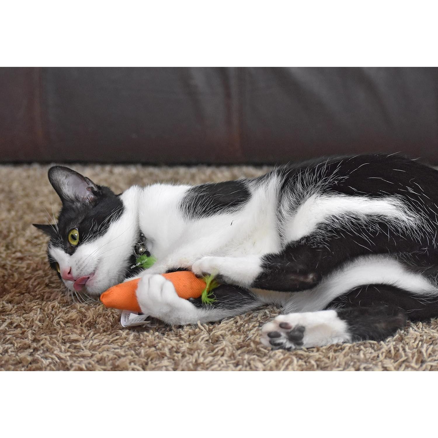 Juguete para Gato OurPets Zanahoria Relleno de Hierba Gatera