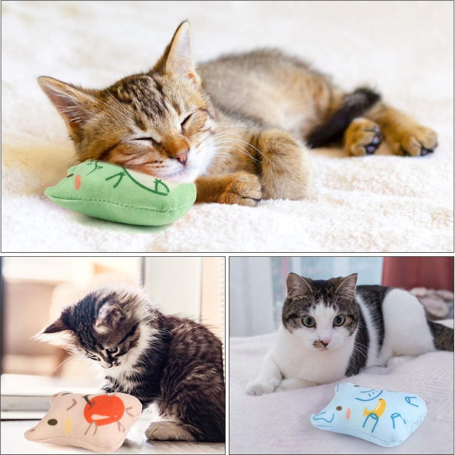 Juguetes de Catnip Dorakitten para Gatos - 5 Piezas Interactivas