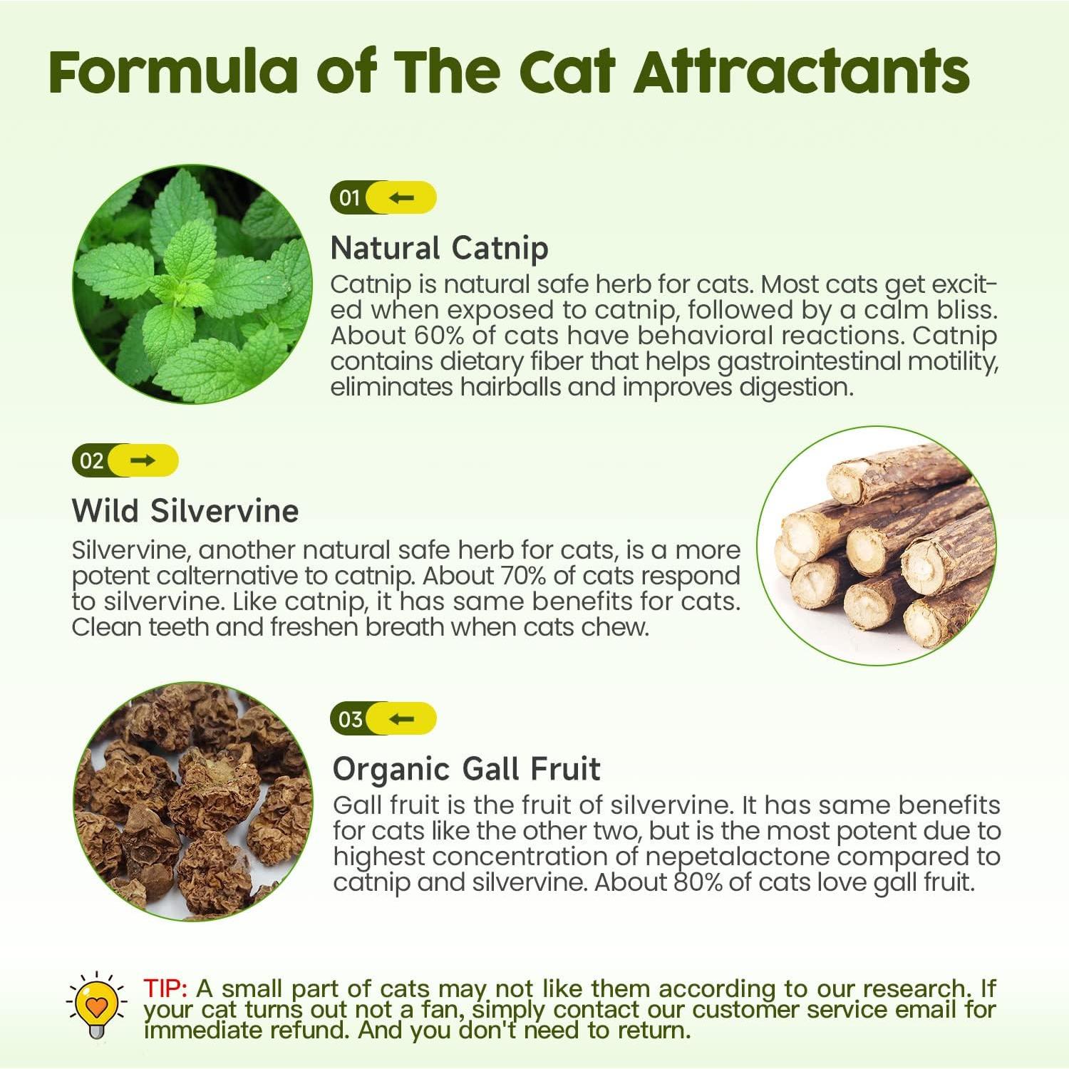 Juguetes para Gatos Potaroma - 3 Piezas Catnip y Silvervine