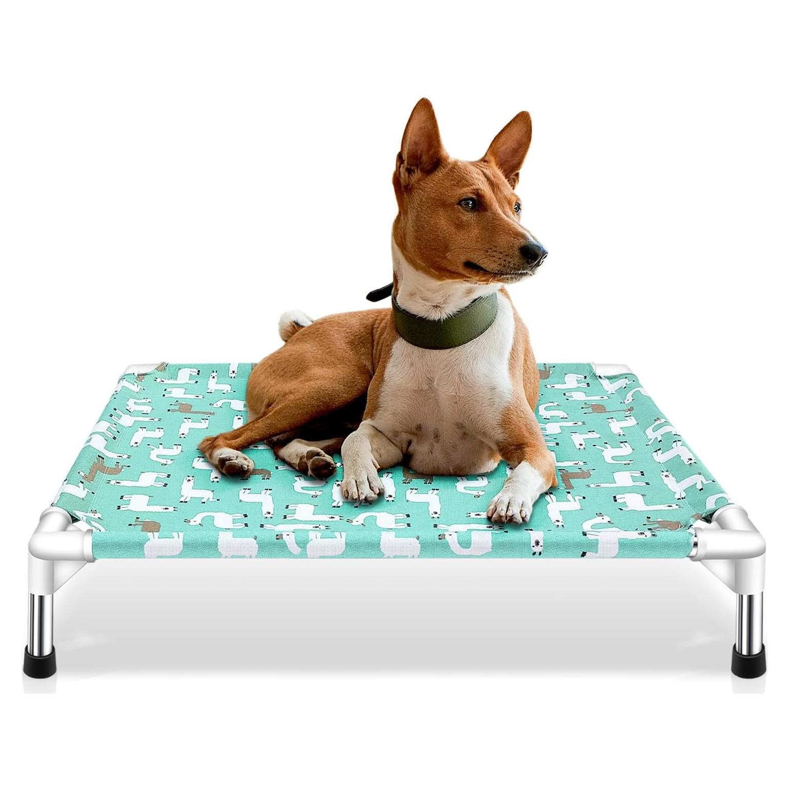 Cama Elevada para Perros Medianos Modorki - Acero Inoxidable